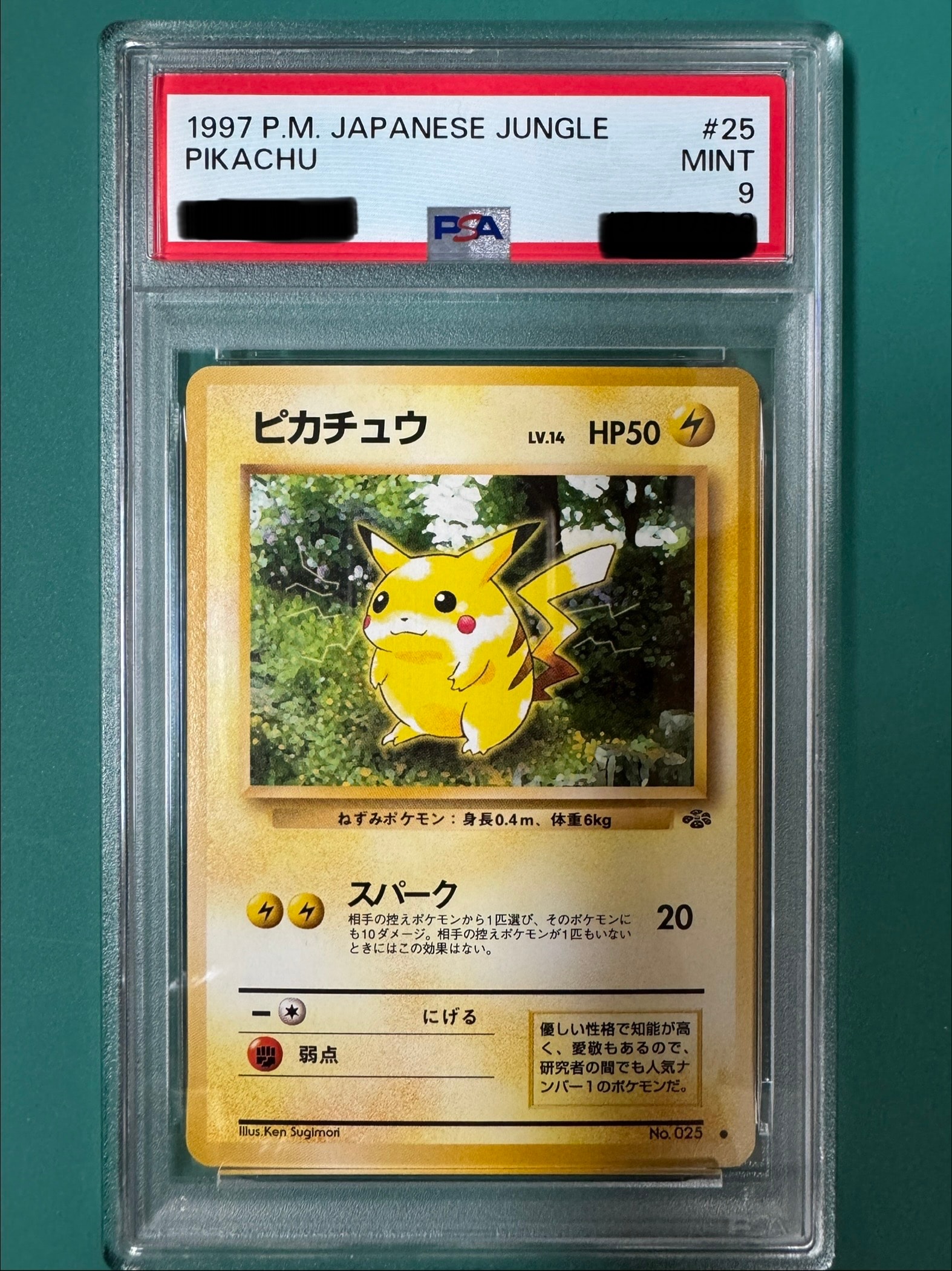ピカチュウ PROMO BW-Pプロモカード 120/BW-P 2011 + ピカチュウ(120/BW-P) | プロモ | ドラゴンスター | ポケモンカード