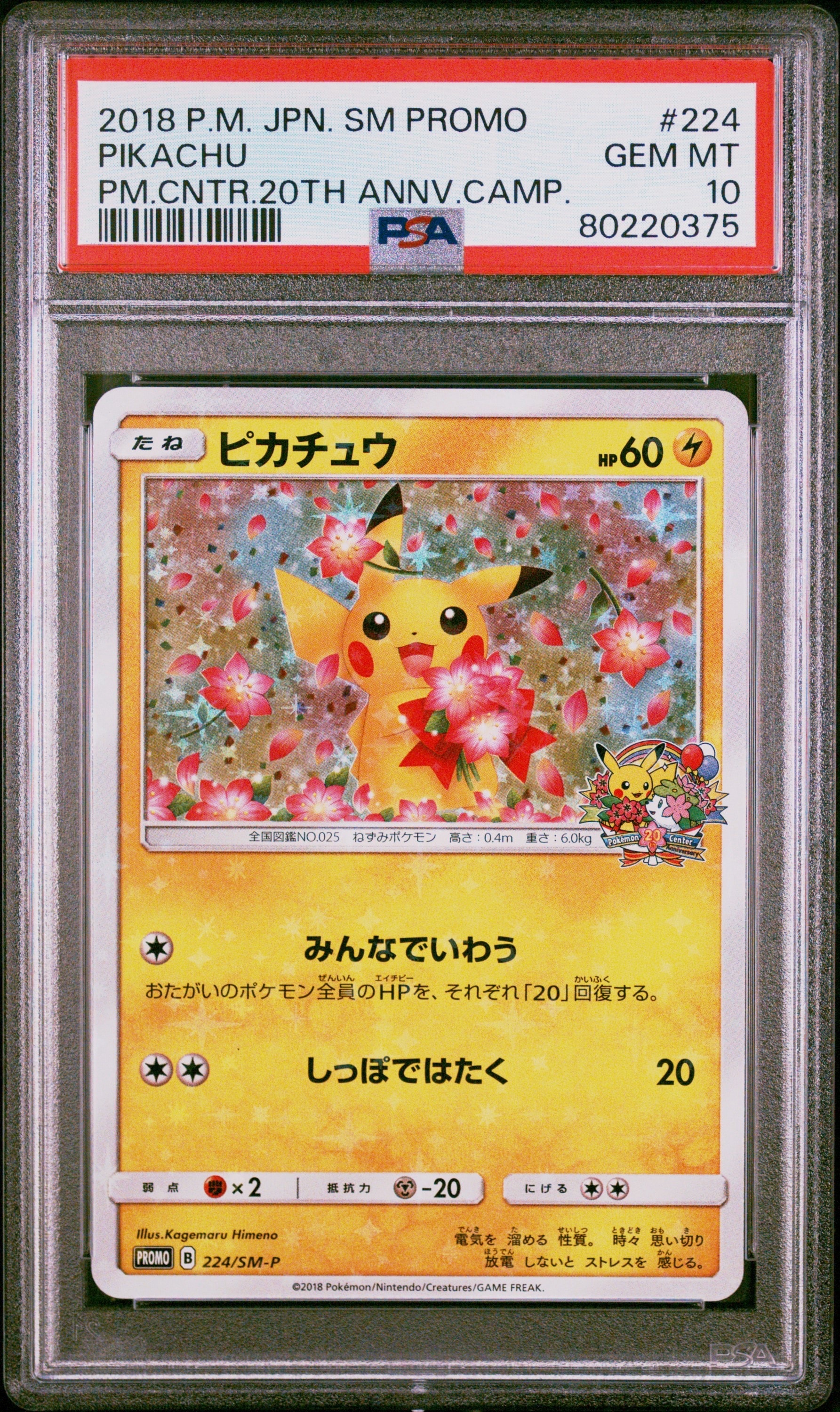 ピカチュウ 224/SM-P ピカチュウ: プロモ[SM-P 224](プロモーションカード「SM-P」)の新品
