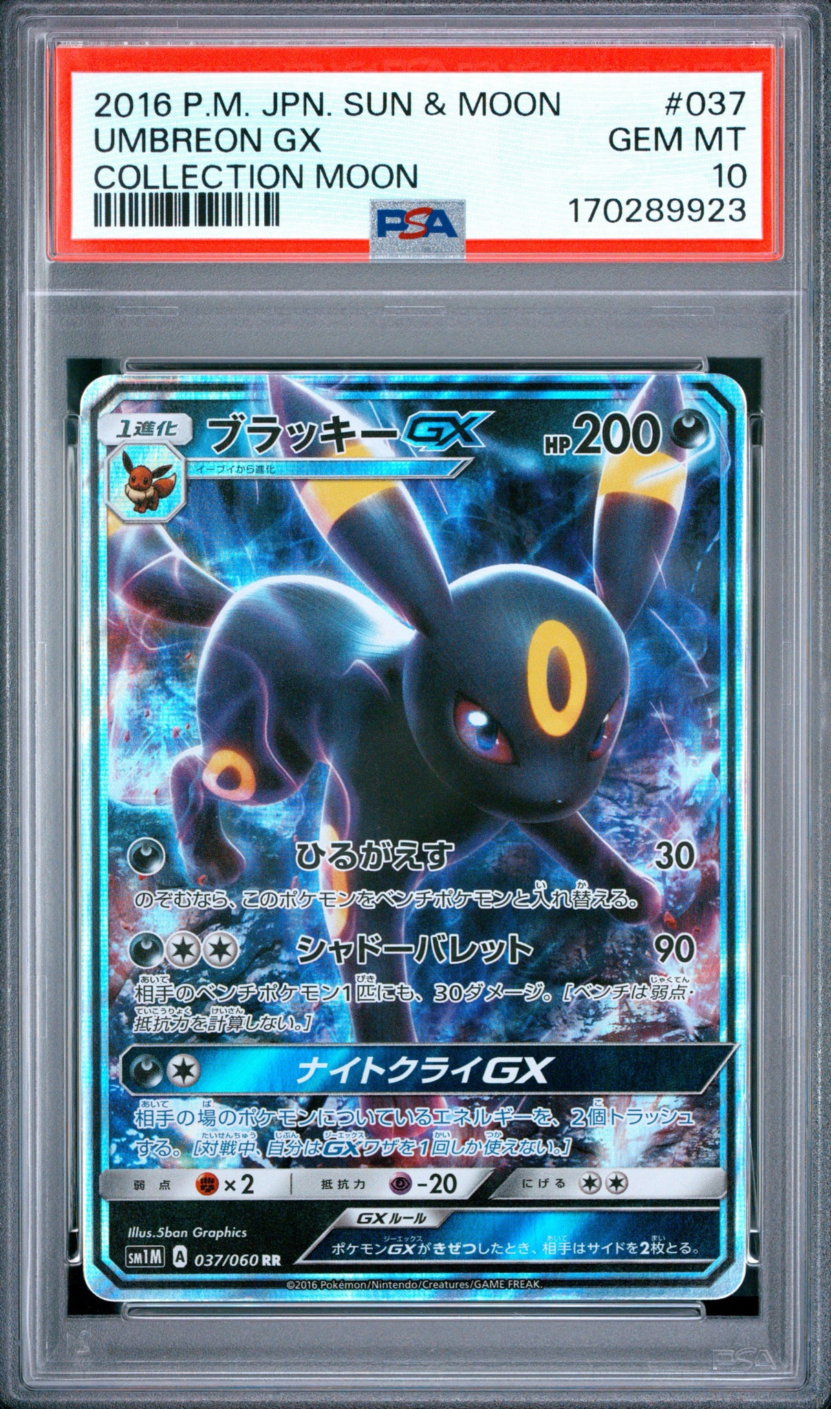 PSA9 ブラッキーGX 037/060 RR SM1M 2016 PSA10】ブラッキーGX RR[SM1M 037/060](拡張パック「コレクション