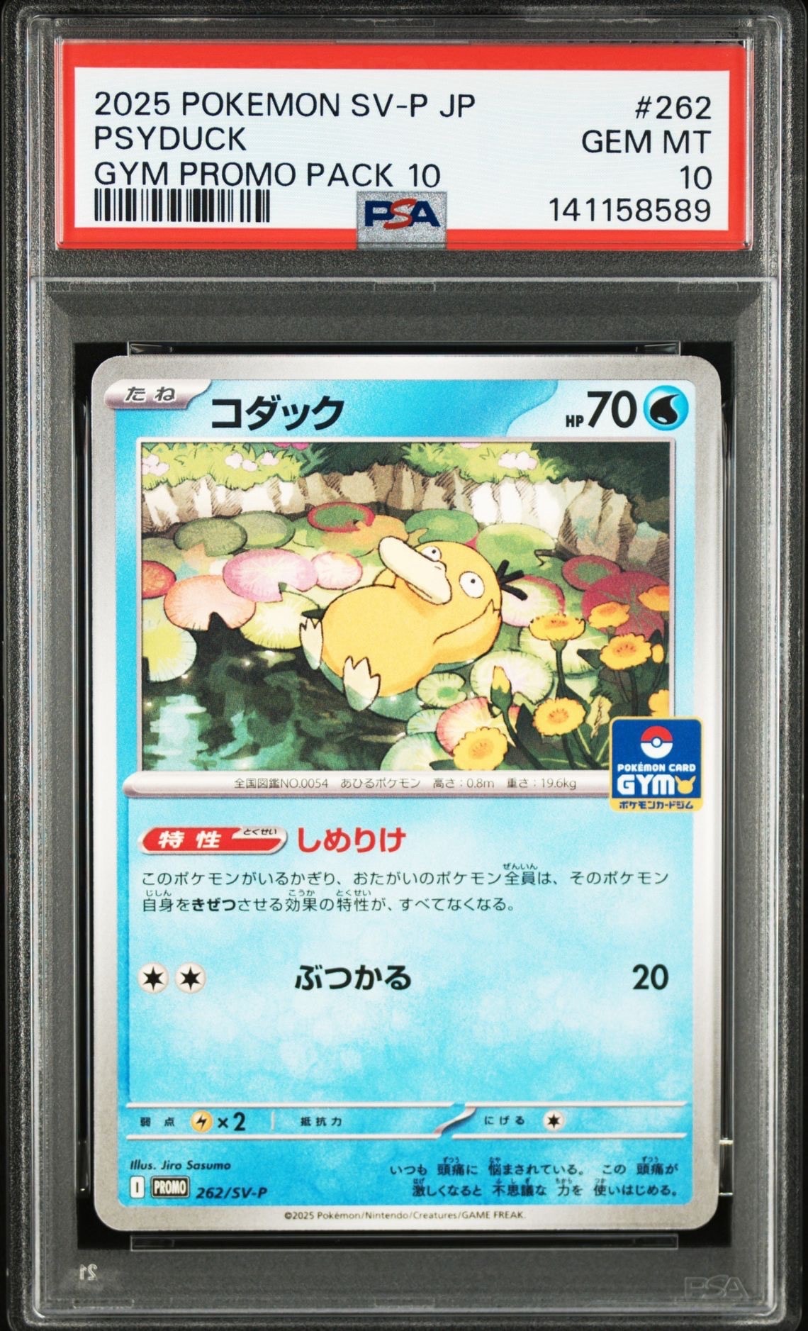 コダック P [SV-P 262](プロモカードパック「第10弾」)