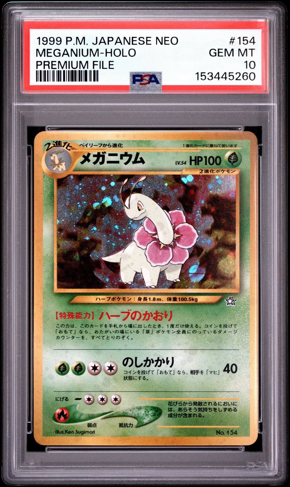 オーダイル、メガニウム 旧裏 ポケモンカード ポケモンカード 旧裏面 オーダイル、メガニウム 旧裏 ポケモンカード ポケモンカード 旧裏面
