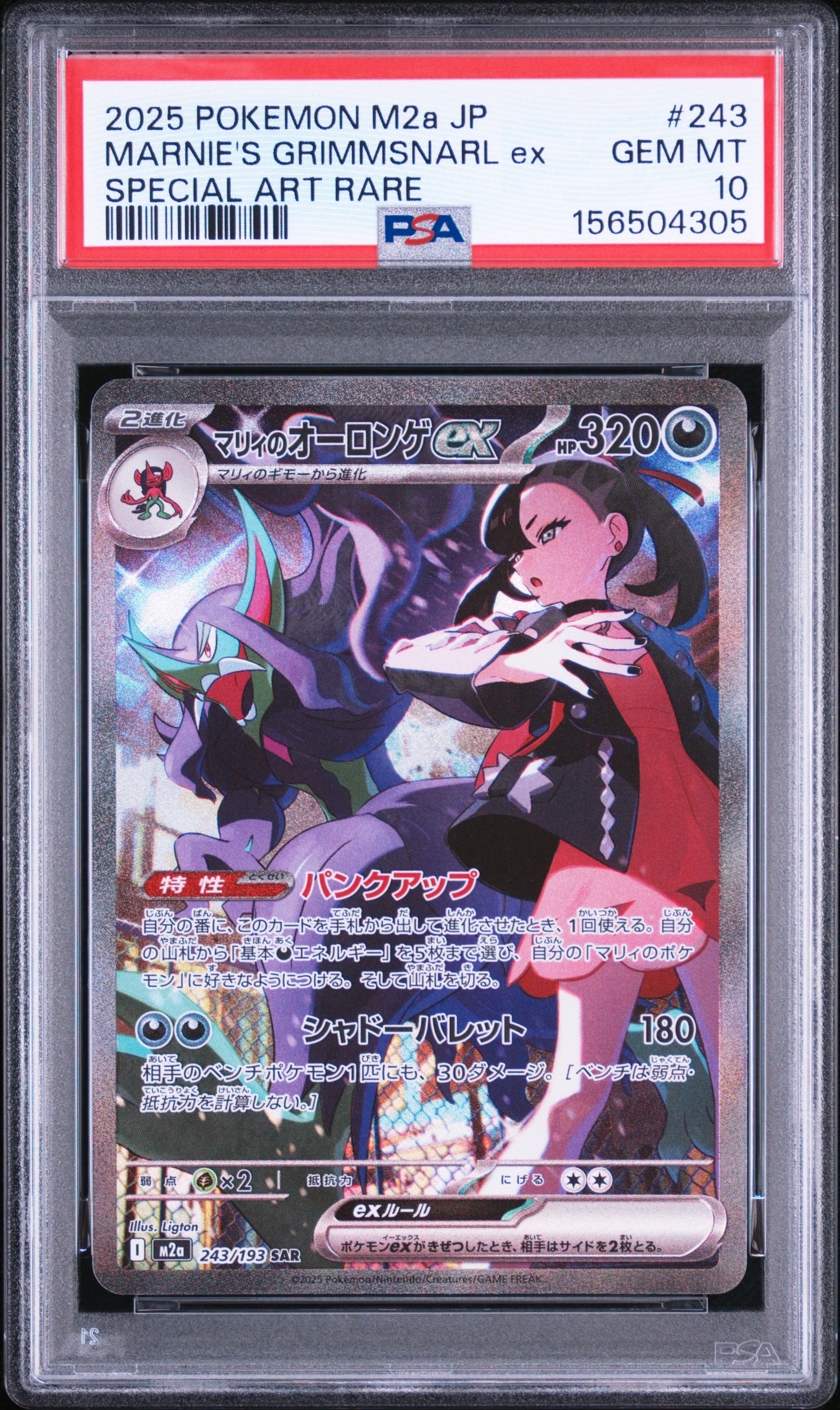 PSA10】MゲンガーEX [CP4 049/131](プレミアムチャンピオンパック「EX