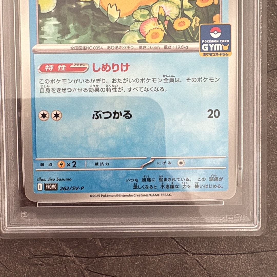 PSA10】コダック P [SV-P 262](プロモカードパック「第10弾」) 1枚の
