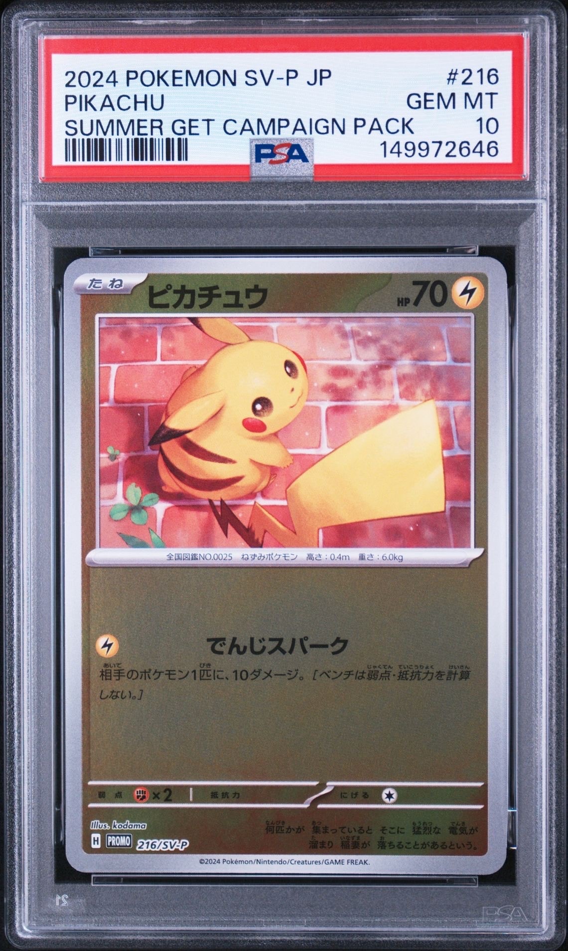 ピカチュウ P [SV-P 216](プロモカードパック「ポケカの夏がキタ!プロモカードGetキャンペーン!」)
