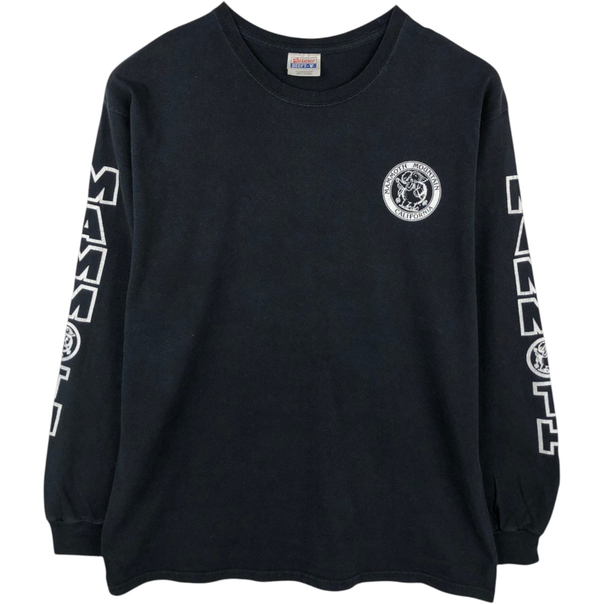 古着 00年代 ヘインズ Hanes BEEFY-T ロングTシャツ ロンT メンズL相当/eaa667946