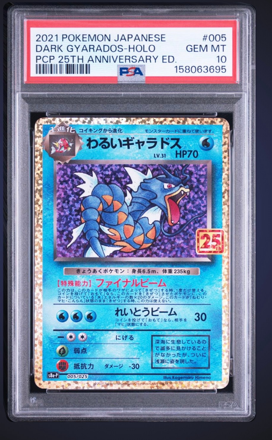 わるいギャラドス: プロモ[S8a-P 005/025](プロモカードパック 25th ANNIVERSARY edition)