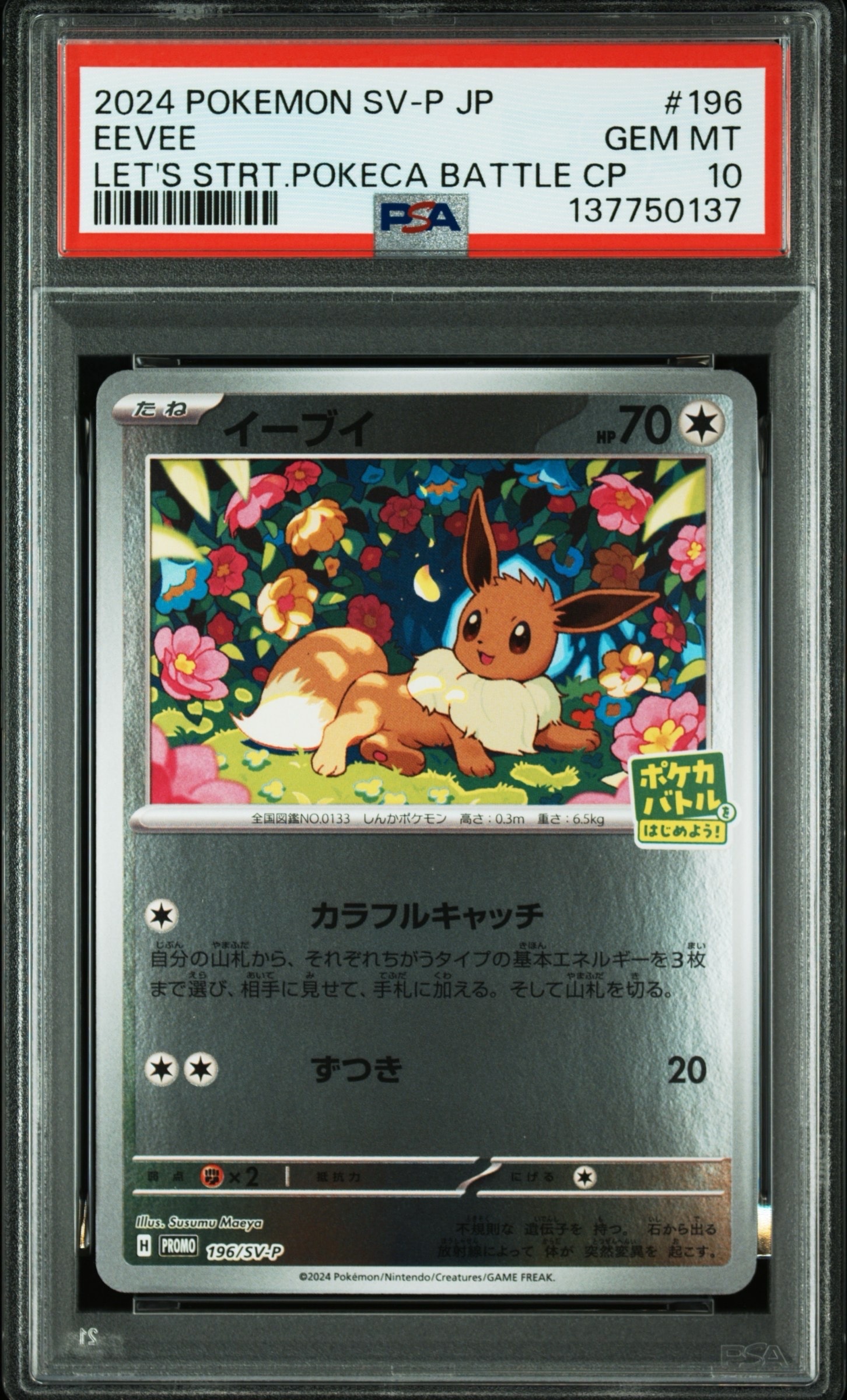 イーブイ P [SV-P-SM 196](プロモカードパック「ポケカバトルをはじめよう!キャンペーン」)