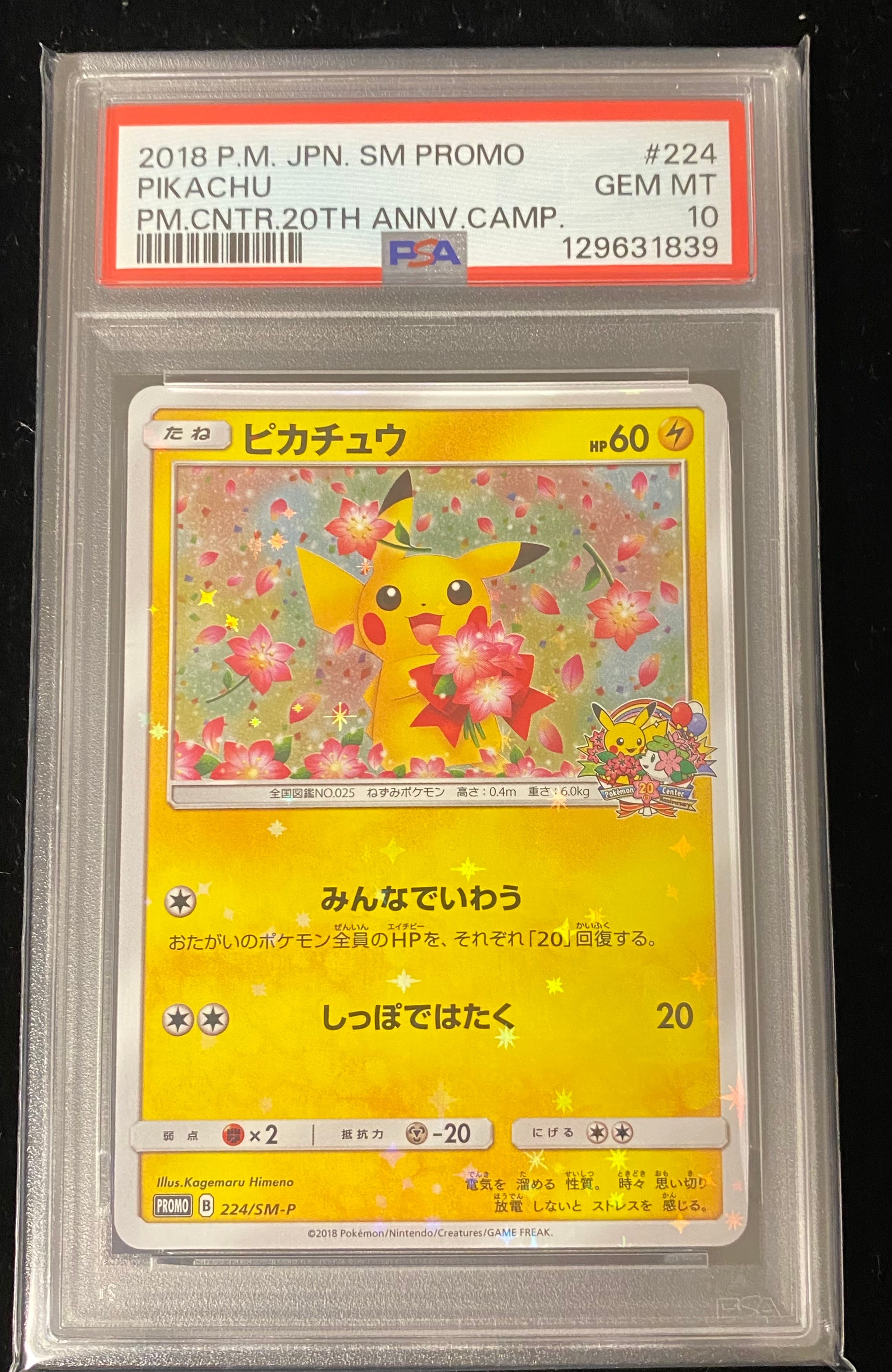 ピカチュウ: プロモ[SM-P 224](プロモーションカード「SM-P」)