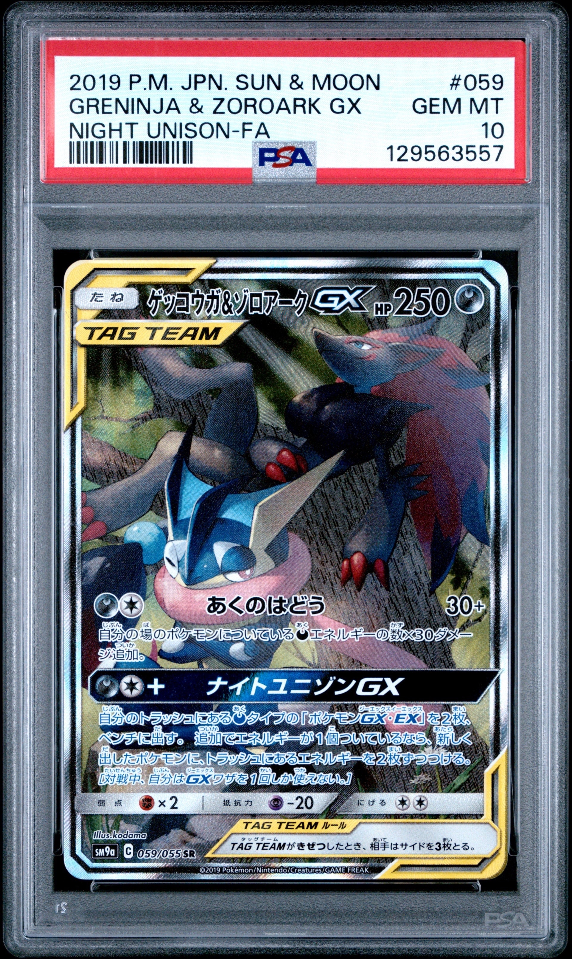 ゲッコウガ&ゾロアークGX SR: SA[SM9a 059/055](強化拡張パック「ナイトユニゾン」)