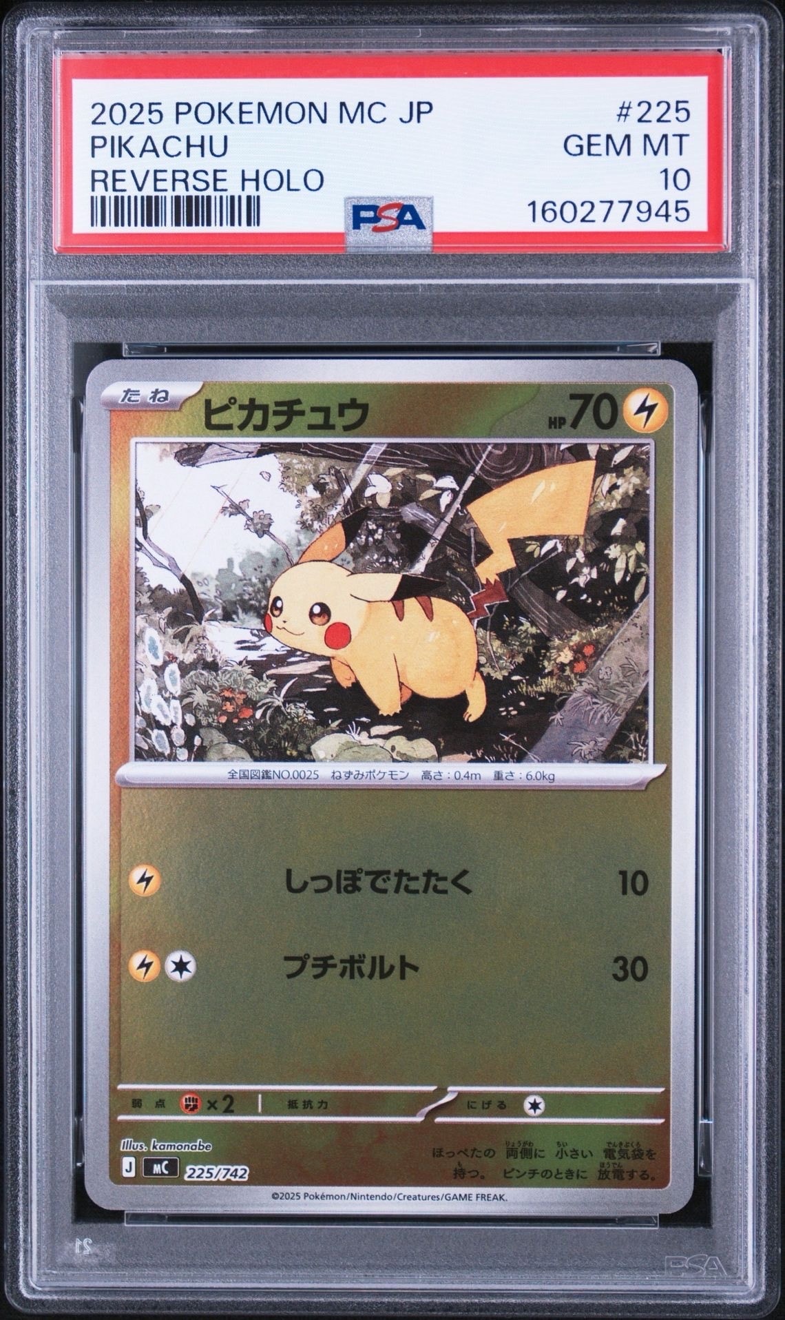 トウホクのピカチュウ P [SV-P 260](スペシャルBOX「ポケモンセンター