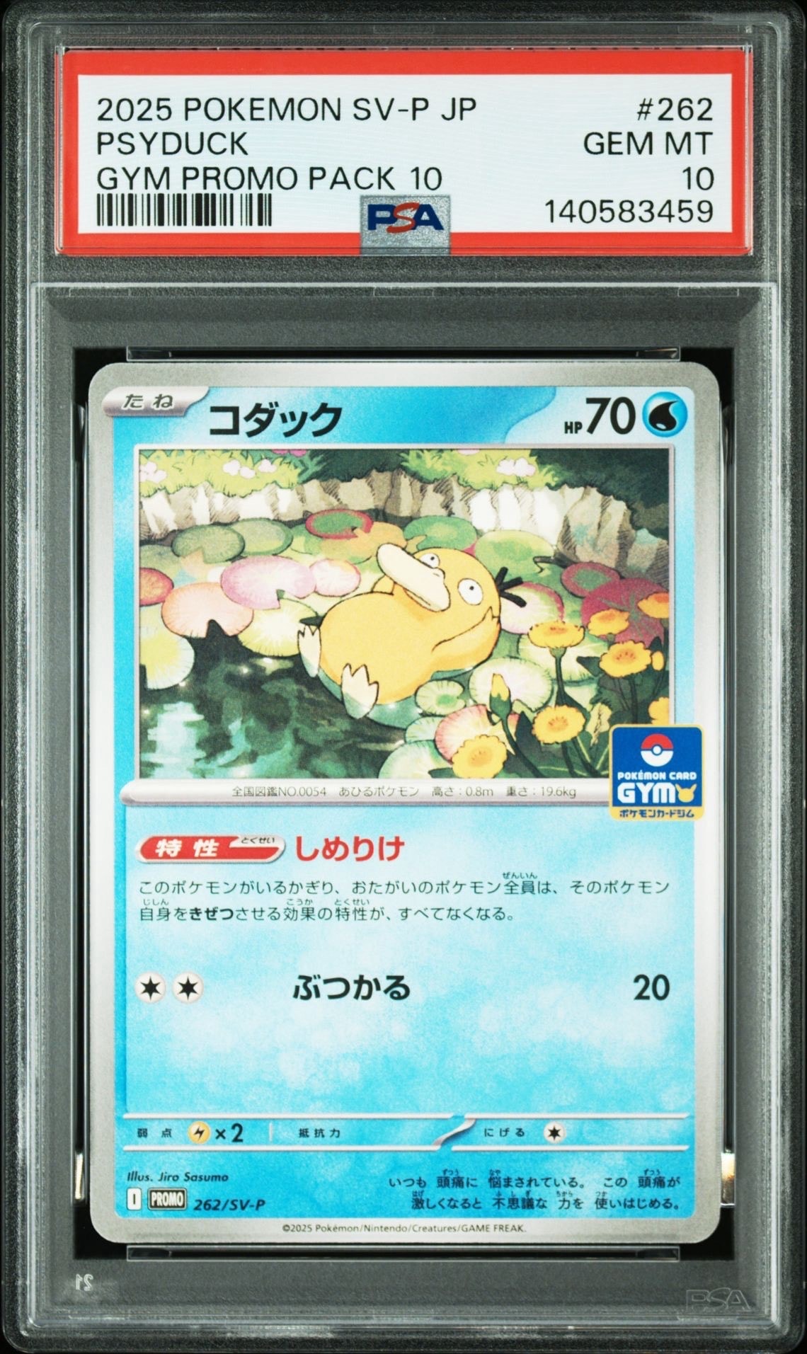 コダック P [SV-P 262](プロモカードパック「第10弾」)