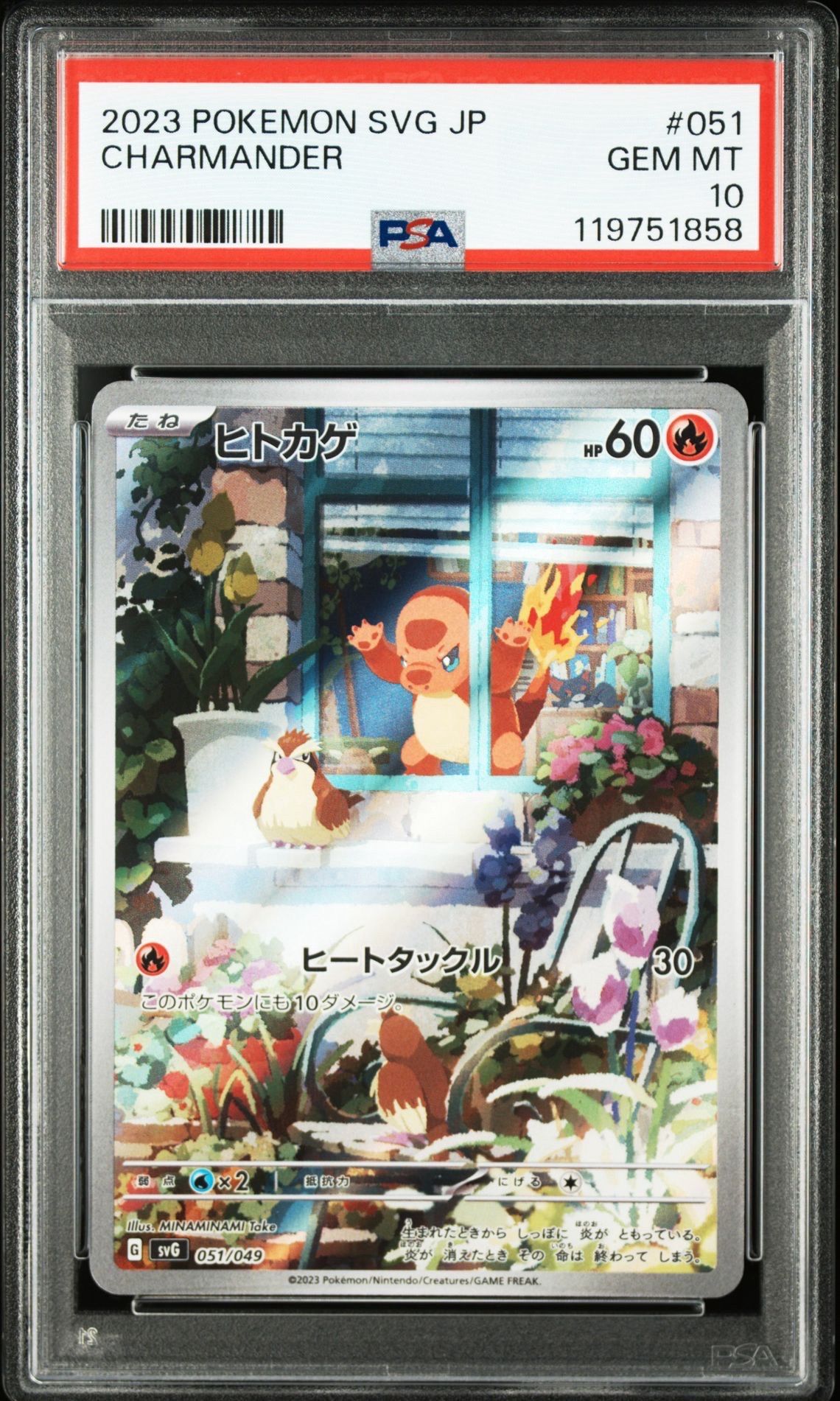 ヒトカゲ :フルイラスト [SVG 051/049](スペシャルデッキセットex「フシギバナ・リザードン・カメックス」)