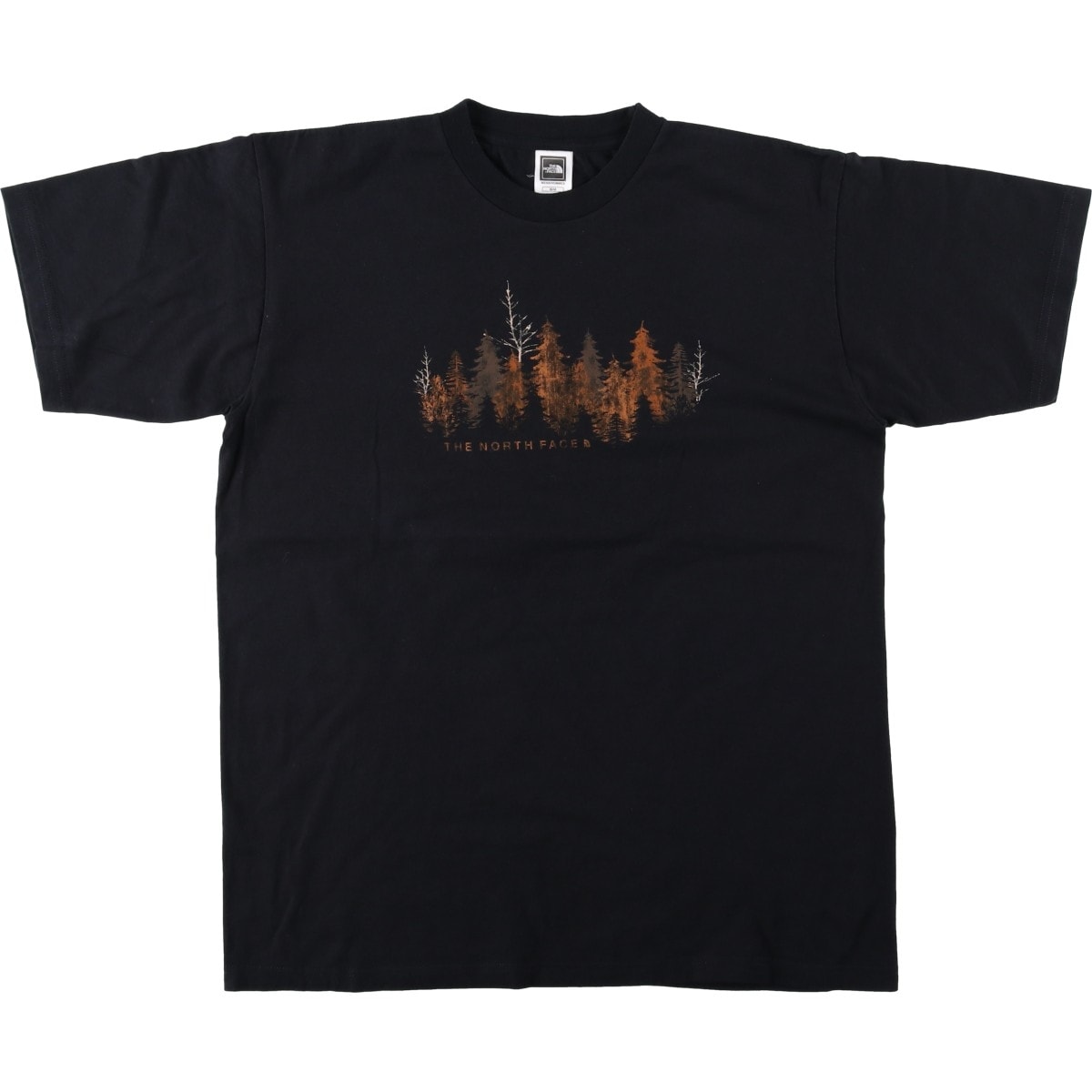 古着 ザノースフェイス THE NORTH FACE 半袖 プリントTシャツ メンズM相当/eaa622003