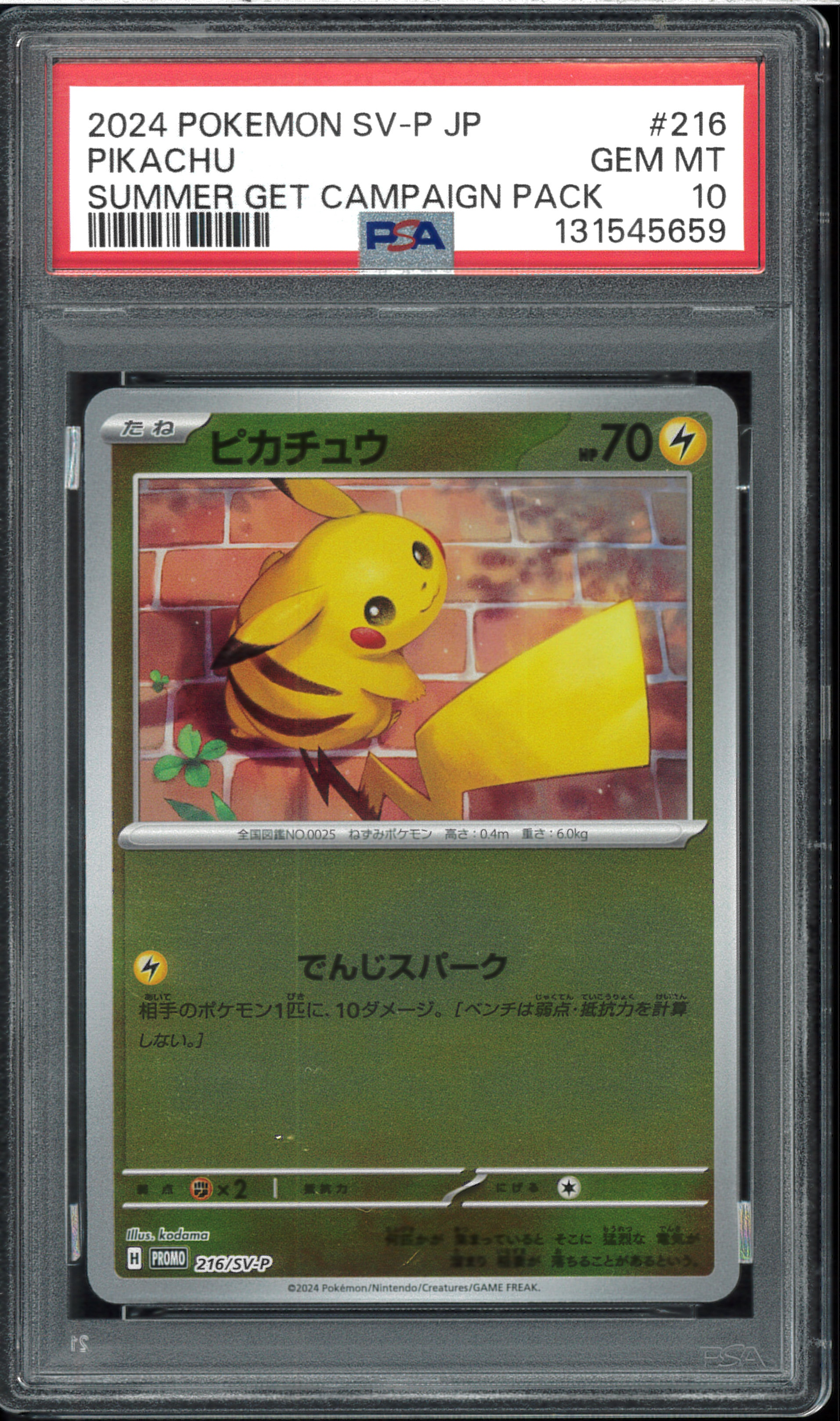 ピカチュウ P [SV-P 216](プロモカードパック「ポケカの夏がキタ!プロモカードGetキャンペーン!」)