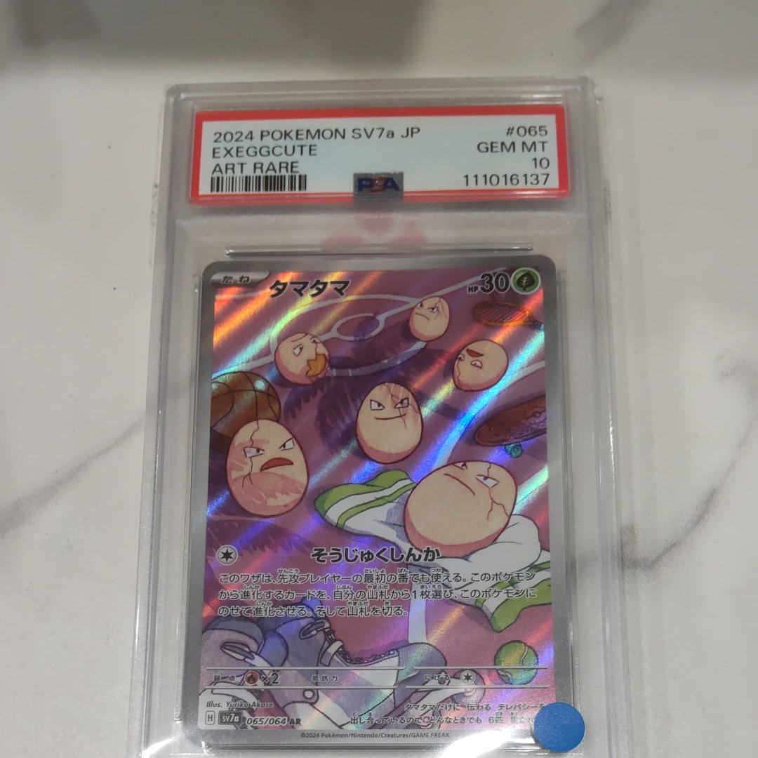 タマタマ AR [SV7a 065/064](強化拡張パック「楽園ドラゴーナ」)