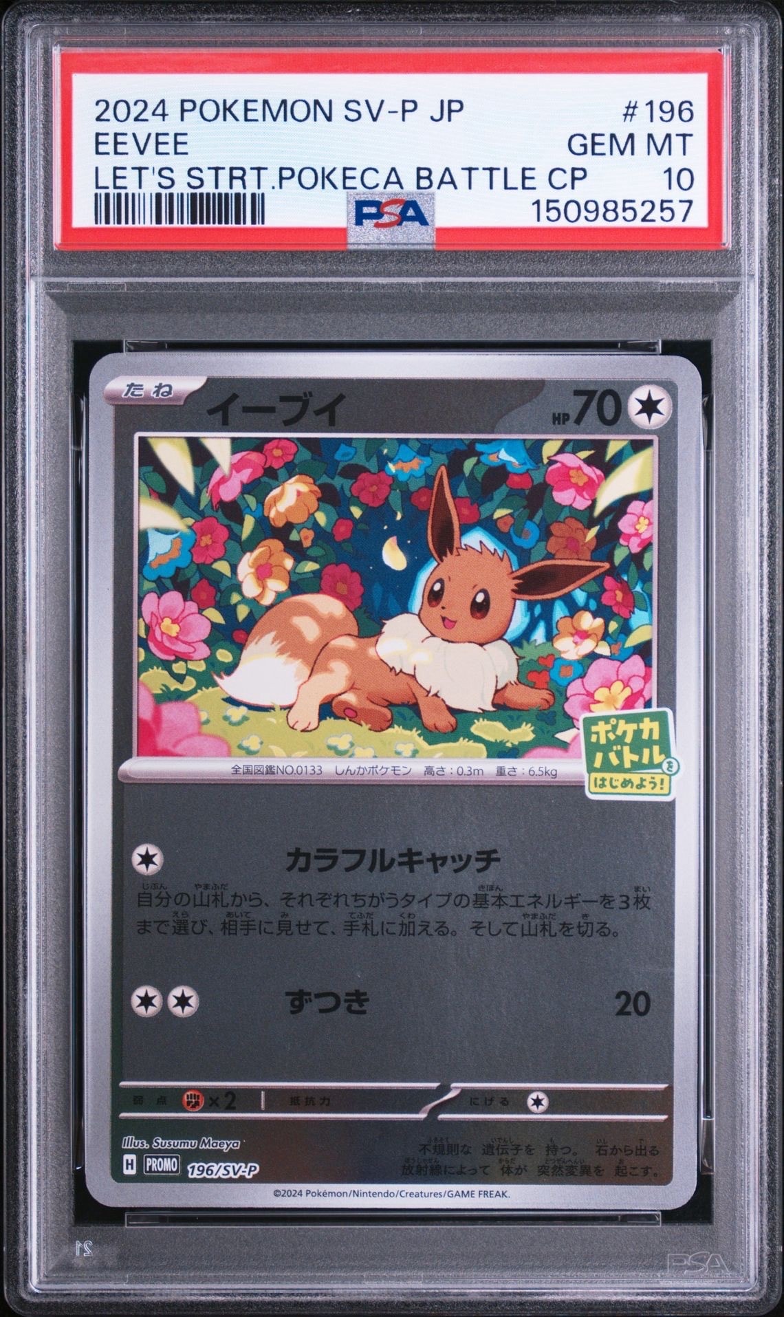 イーブイ P [SV-P-SM 196](プロモカードパック「ポケカバトルをはじめ