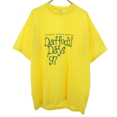 FRUIT OF THE LOOM フルーツオブザルーム 90s USA製 オールド 半袖 シングルステッチ Tシャツ XL イエロー系 BEST