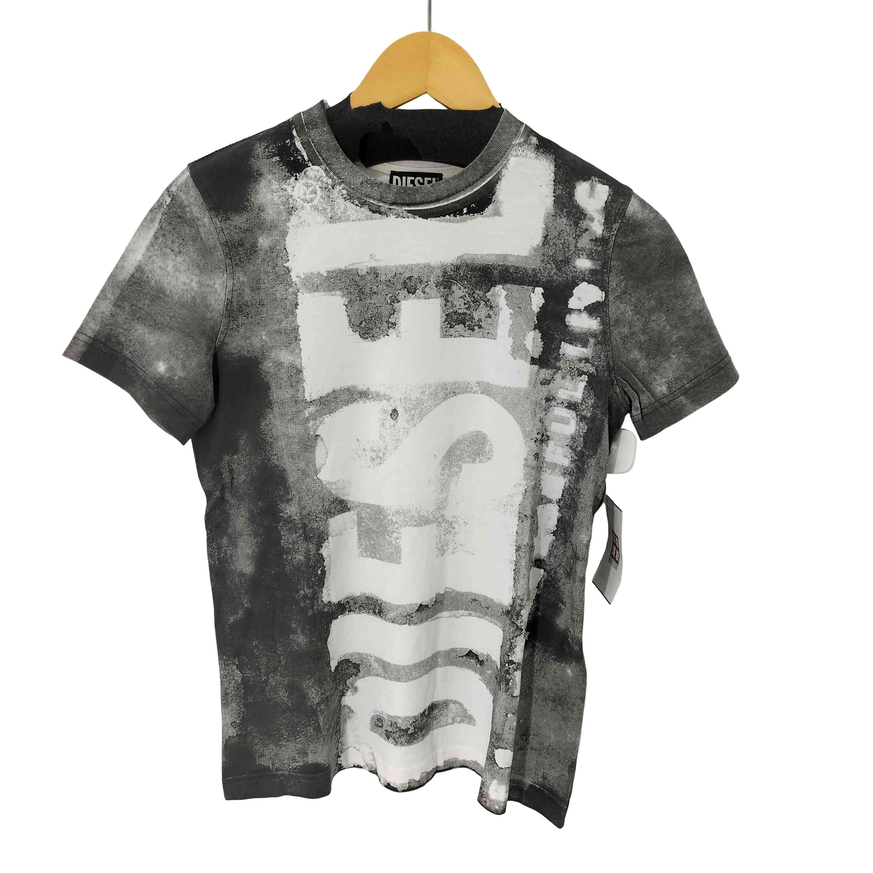 T-REG-G1 グラフィックプリントTシャツ Y2K【1139813753151】