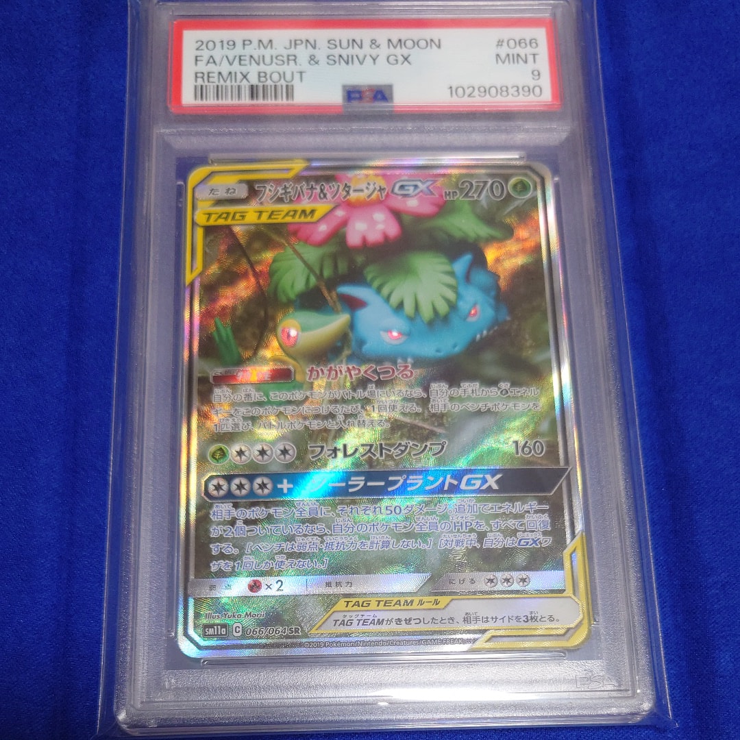フシギバナ&ツタージャGX SR: SA[SM11a 066/064](強化拡張パック「リミックスバウト」)