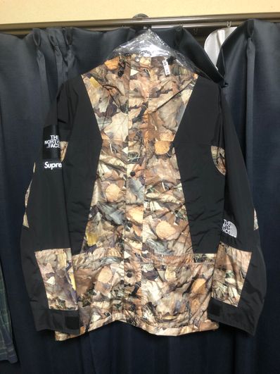 Supreme x The North Face Leaves Mountain Light Jacket "Leaves"