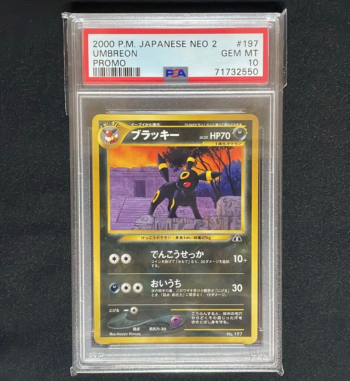 ブラッキープレミアムファイル2: 旧裏[neoP2 No.197](プレミアムファイル2)