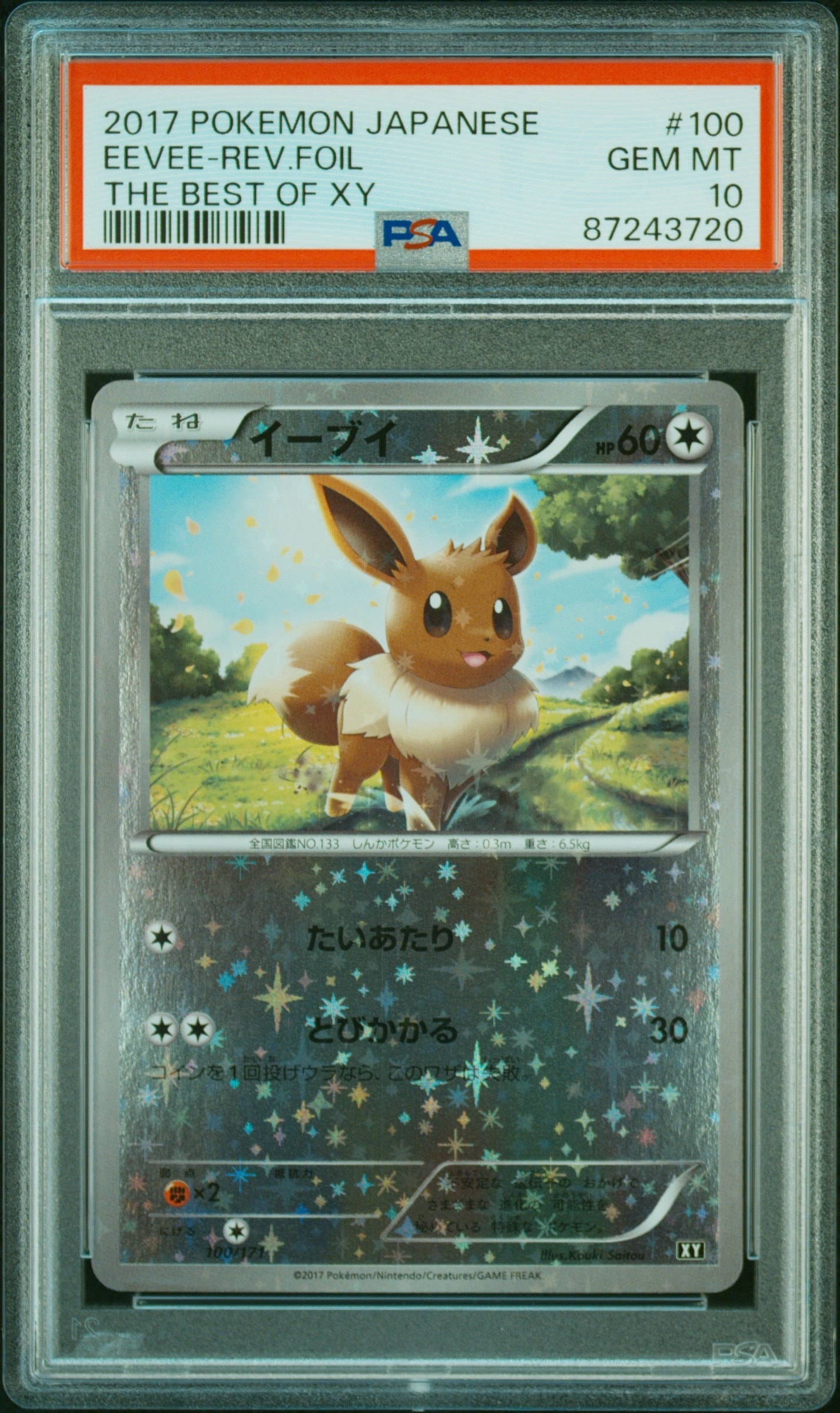 イーブイ :ミラー [XY 100/171](ハイクラスパック「THE BEST OF XY」)