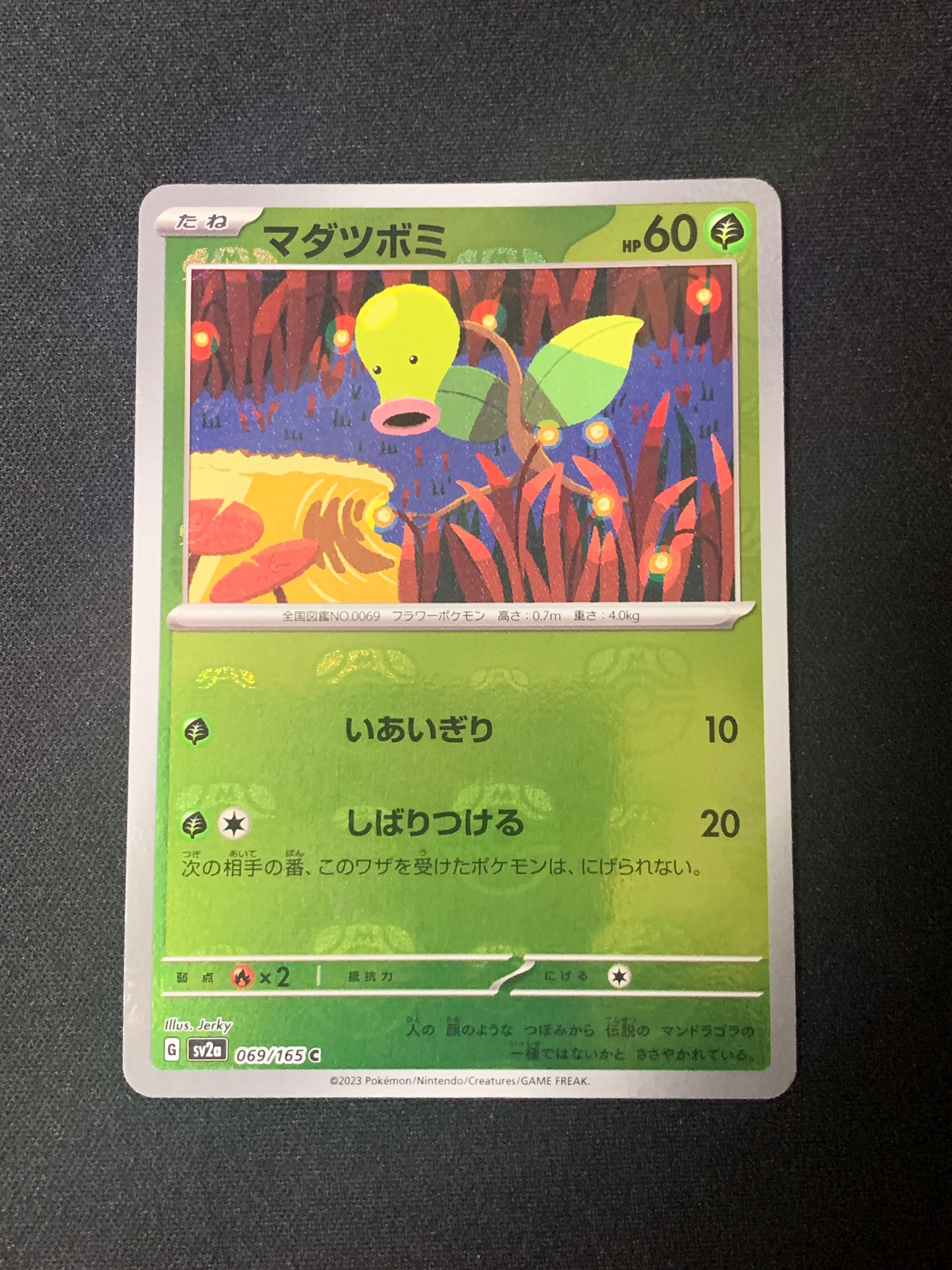 マダツボミ C: マスターボールミラー[SV2a 069/165](強化拡張パック「ポケモンカード151」)