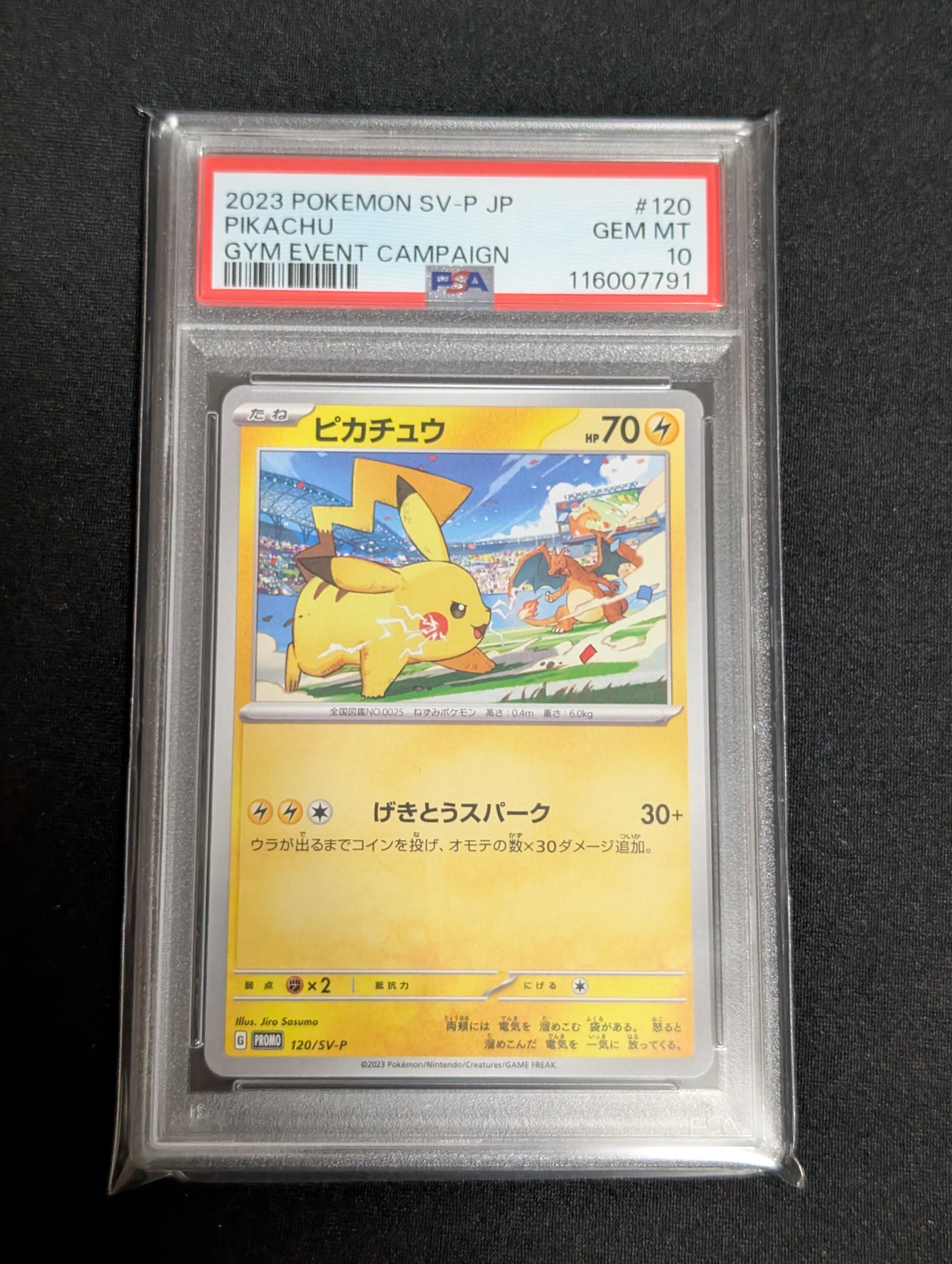 ピカチュウ: プロモ [SV-P 120](プロモーションカード「SV-P」)
