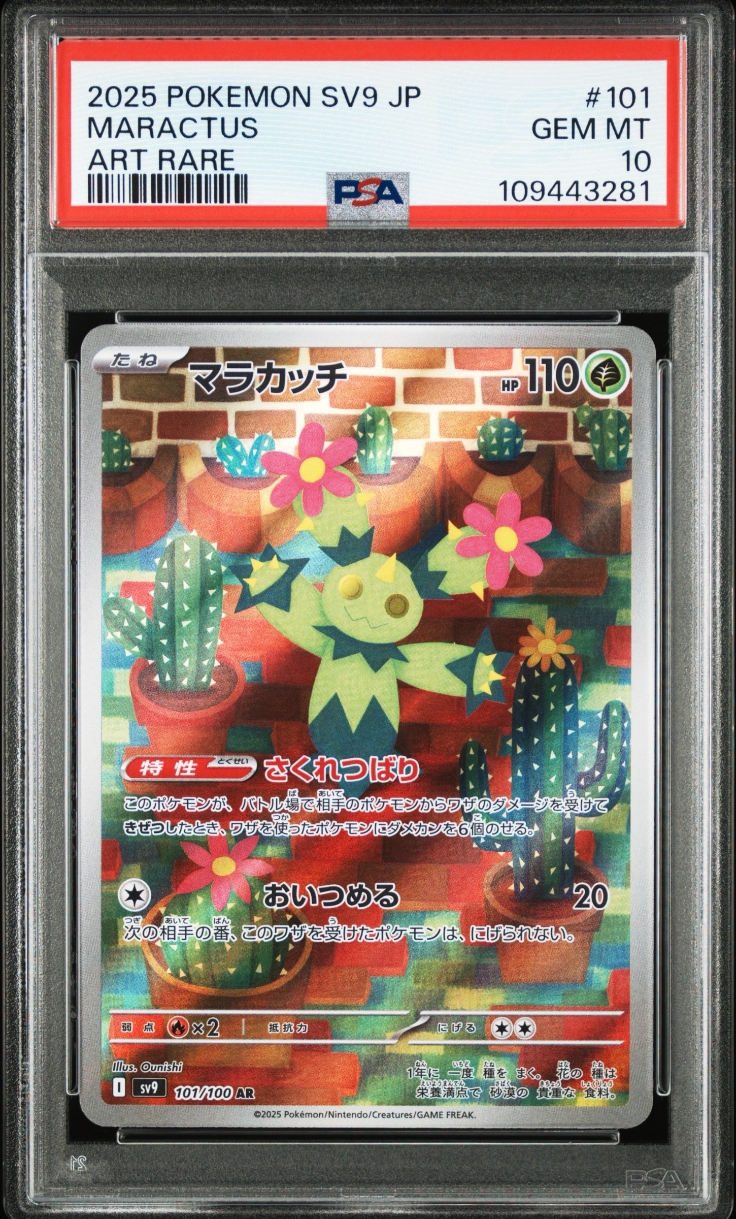 マラカッチ AR [SV9 101/100](拡張パック「バトルパートナーズ」)の