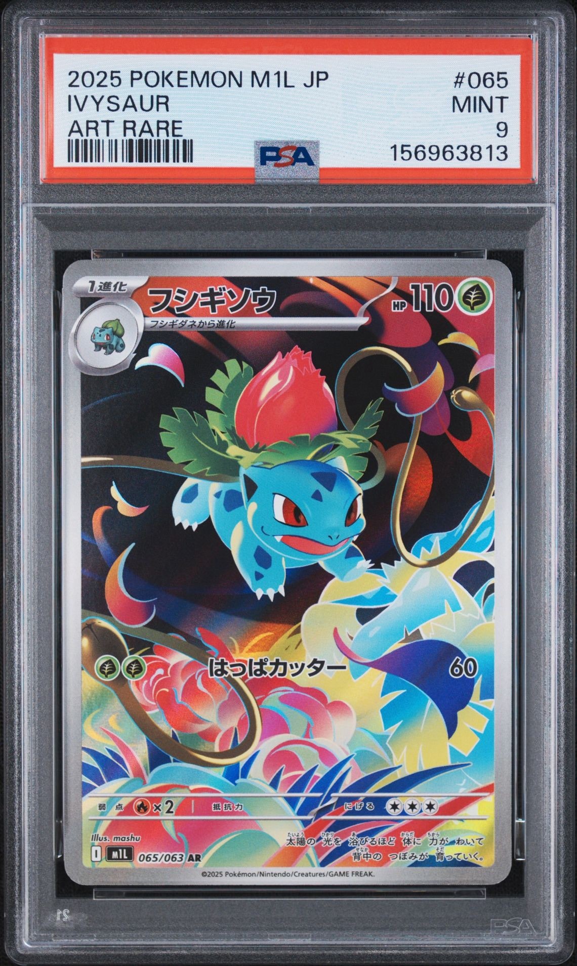 PSA10 フシギダネ AR フシギソウ AR 連番 メガブレイブ ポケモンカード PSA10 フシギソウ AR メガブレイブ PSA10 連番