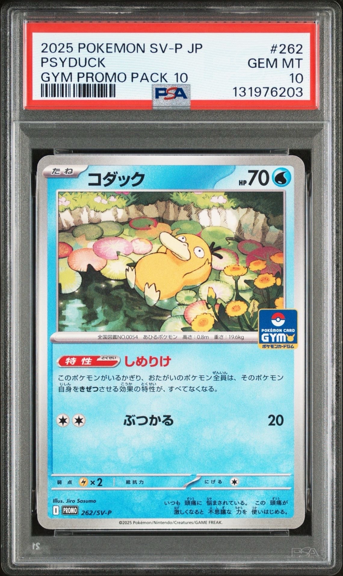 コダック P [SV-P 262](プロモカードパック「第10弾」)