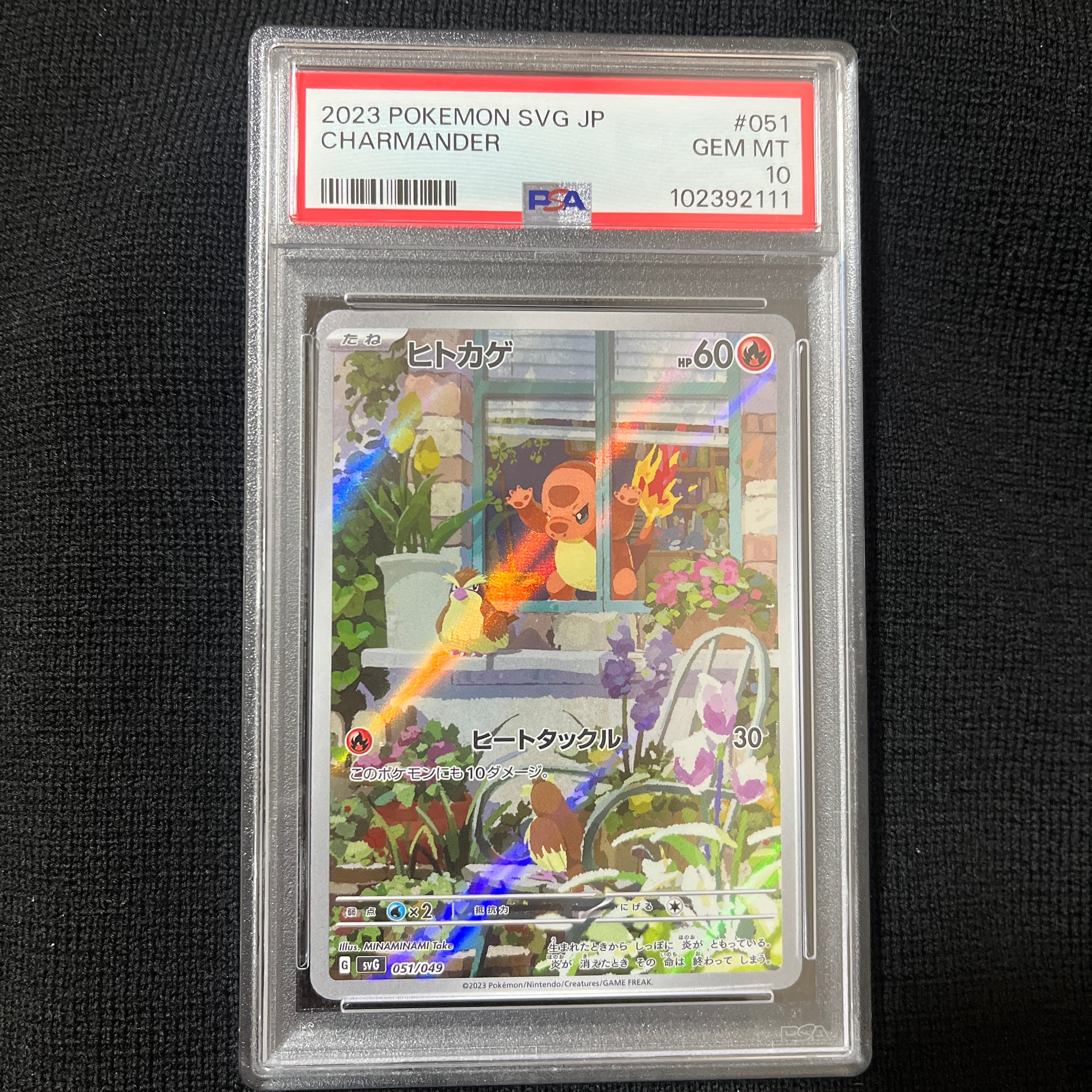 ヒトカゲ :フルイラスト [SVG 051/049](スペシャルデッキセットex「フシギバナ・リザードン・カメックス」)