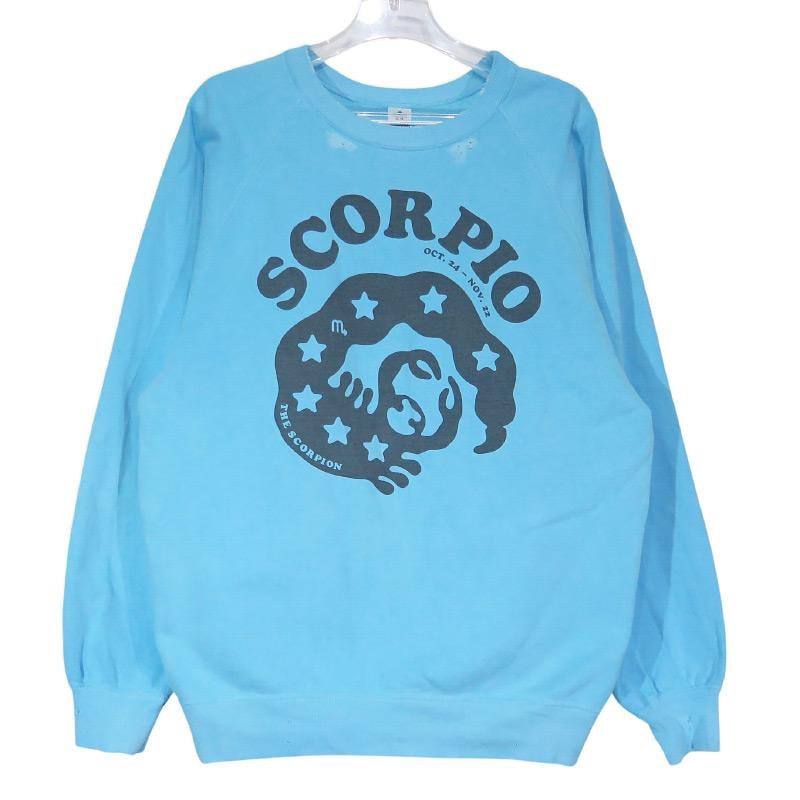 NEXUSVII ネクサス セブン SCORPION CREW SWEAT ROA-NNK-C0N スコーピオン クルーネック スウェット ライトブルー トレーナー トップス サイズ46(M)