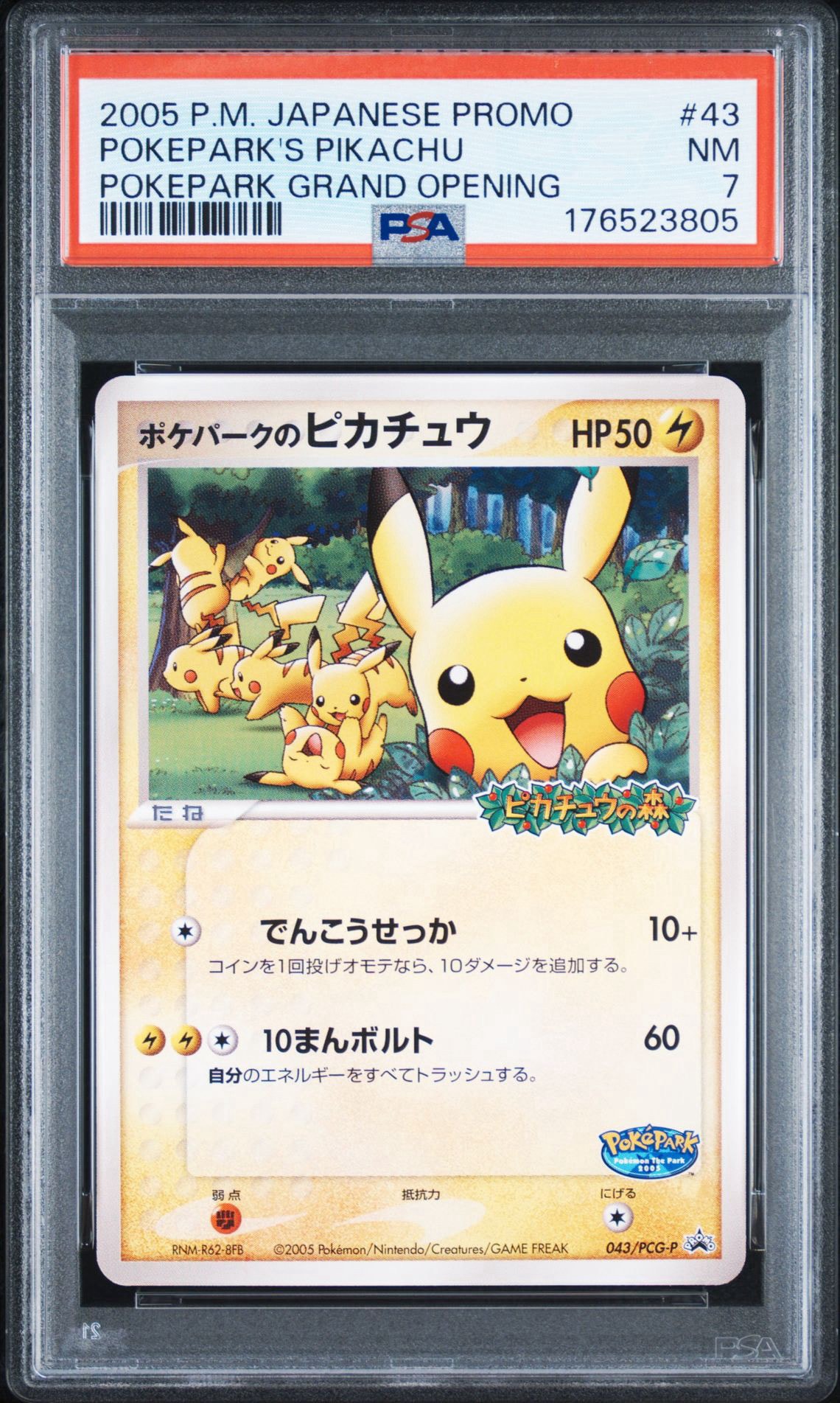 ポケパークのピカチュウ P [PCG-P 043](プロモーションカード