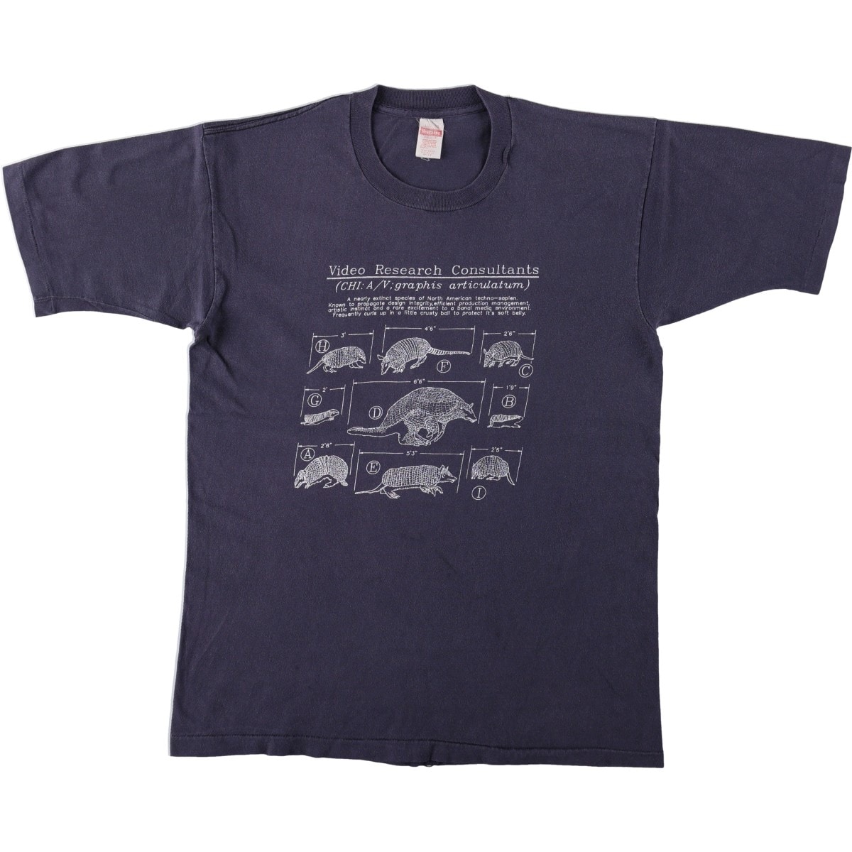 古着 80年代 ヘルスニット HEALITH KNIT プリントTシャツ USA製 メンズL相当 ヴィンテージ/eaa663988