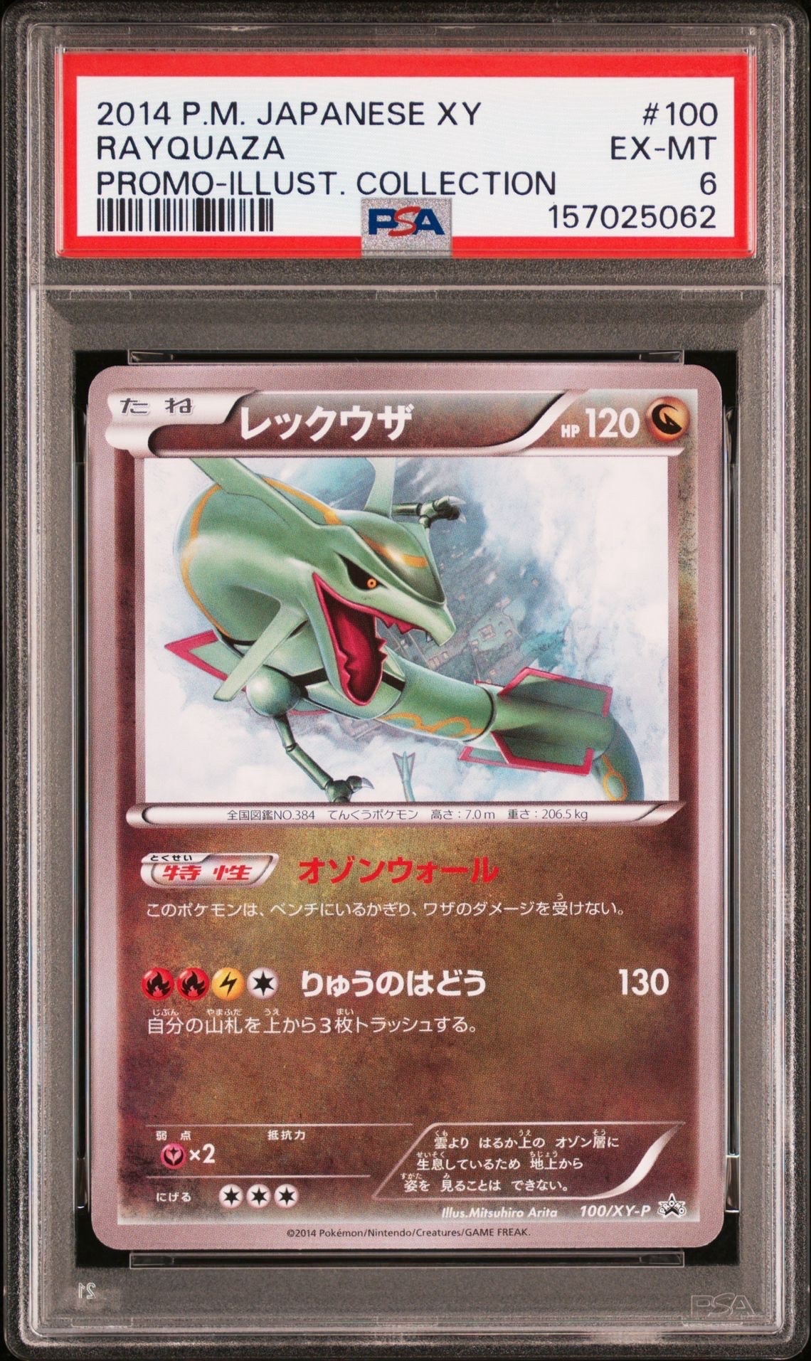 レックウザ イラストコレクション: プロモ[XY-P 100/XY-P](プロモーションカード「XY-P」)