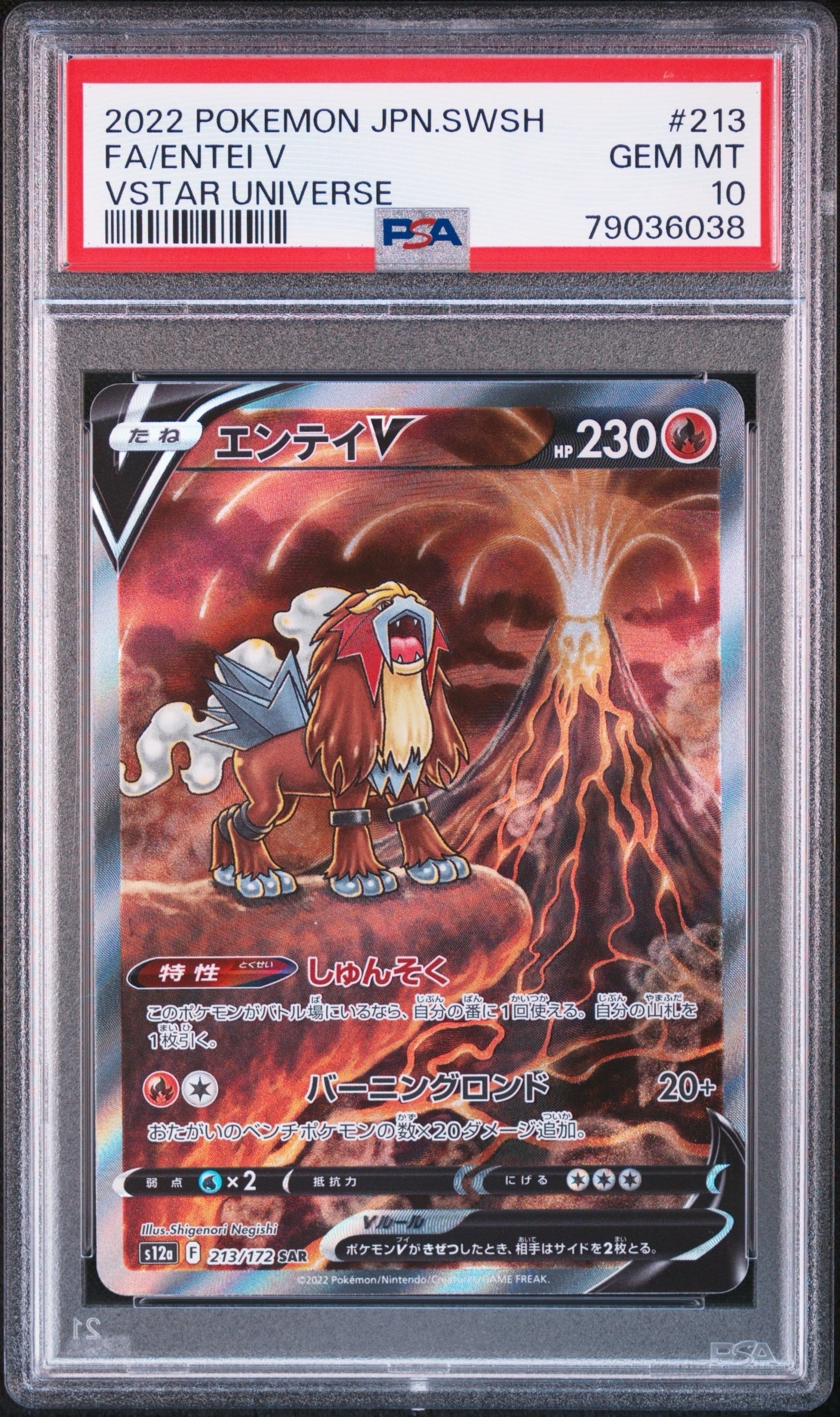 エンテイV SAR[s12a 213/172](ハイクラスパック「VSTARユニバース」)
