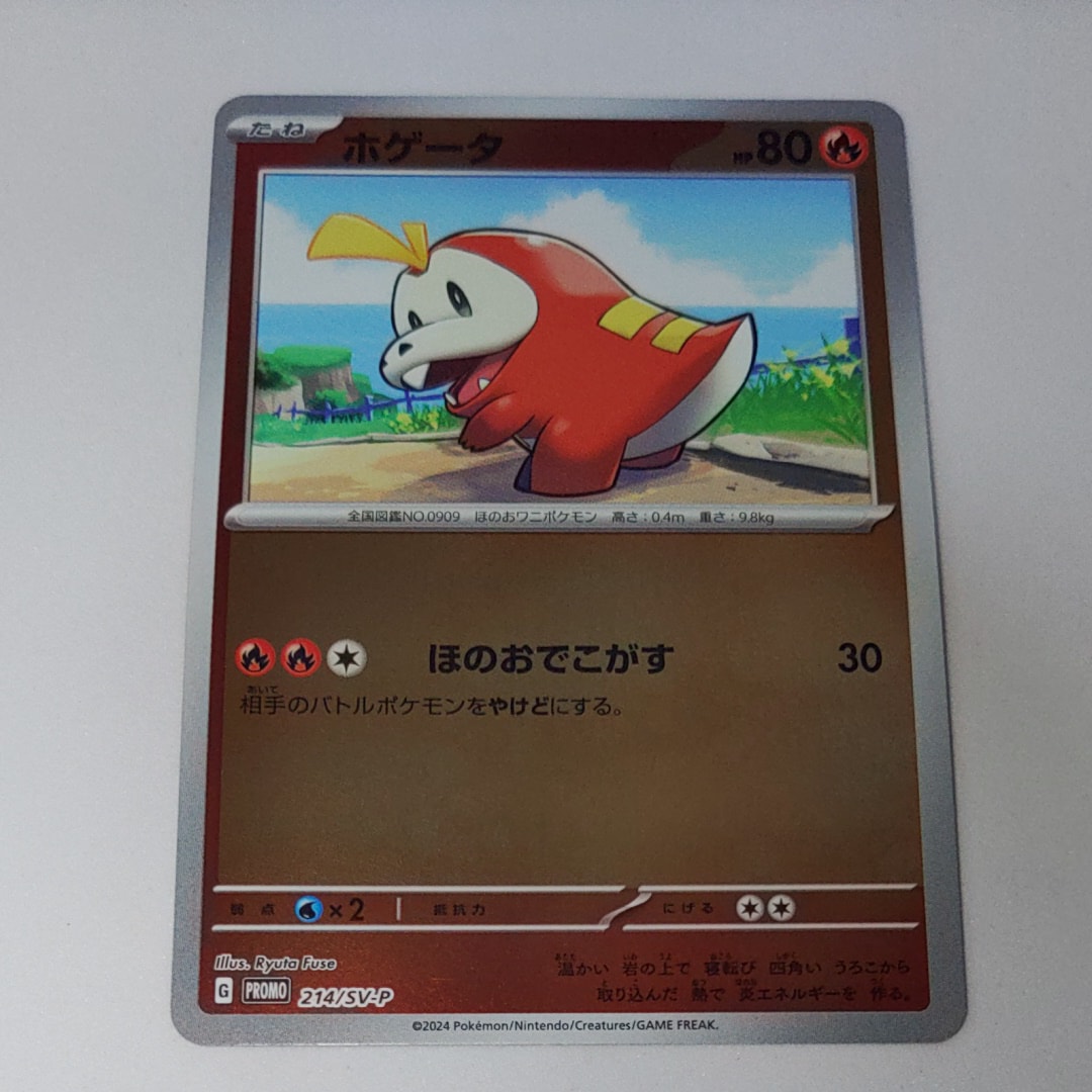 ホゲータ P [SV-P 214](プロモカードパック「ポケカの夏がキタ！プロモ