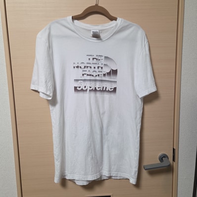 Supreme x The North Face Metallic Logo T-Shirt "White"