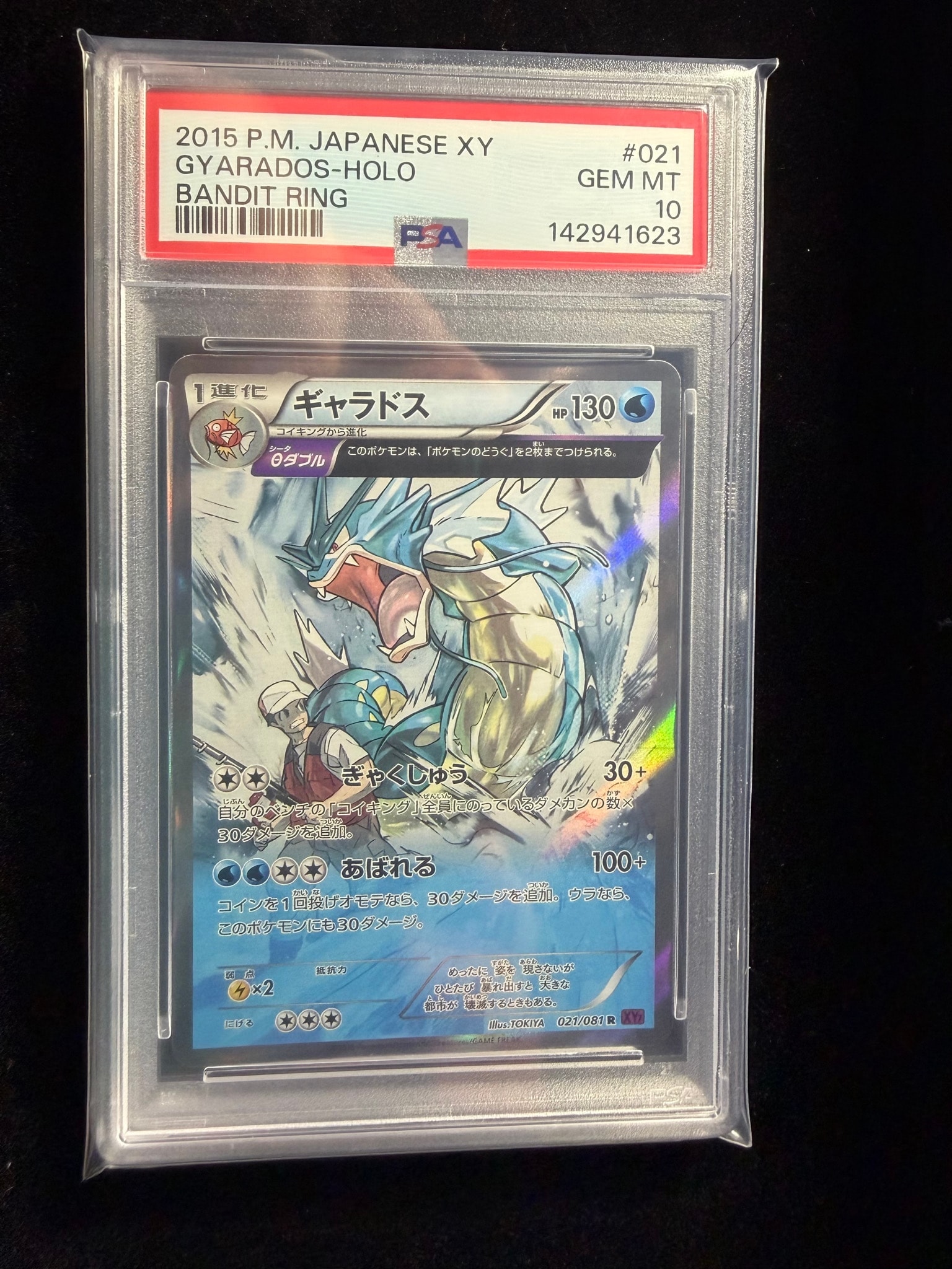 ギャラドス R [XY7 021/081](拡張パック「バンデットリング」)通販
