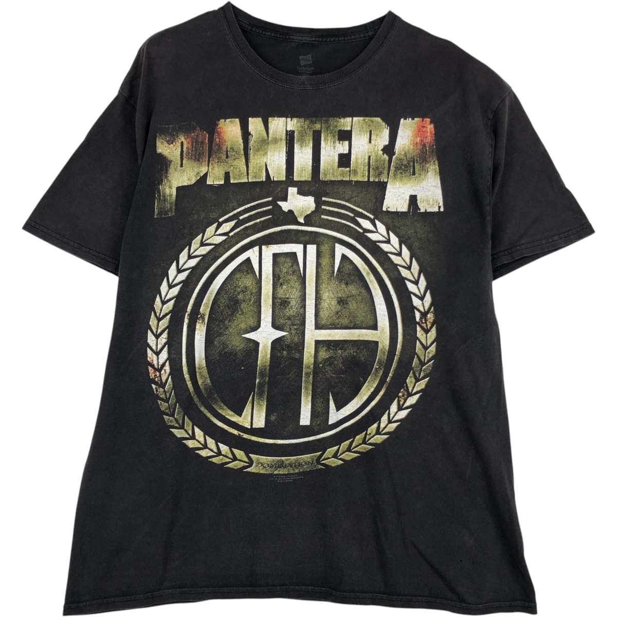 古着 ヘインズ Hanes PANTERA パンテラ バンドTシャツ バンT メンズL相当/eaa646783