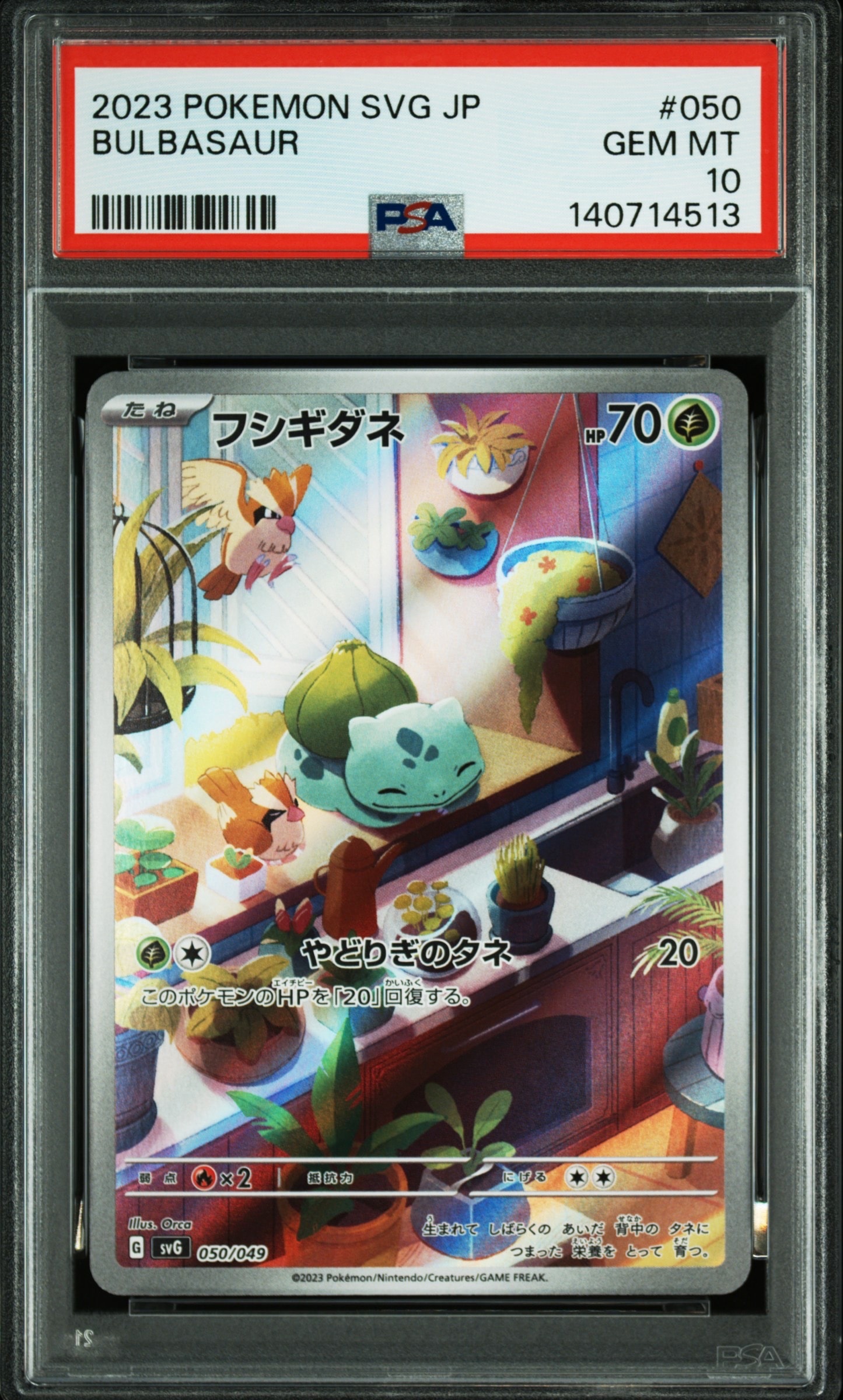フシギダネ :フルイラスト [SVG 050/049](スペシャルデッキセットex「フシギバナ・リザードン・カメックス」)