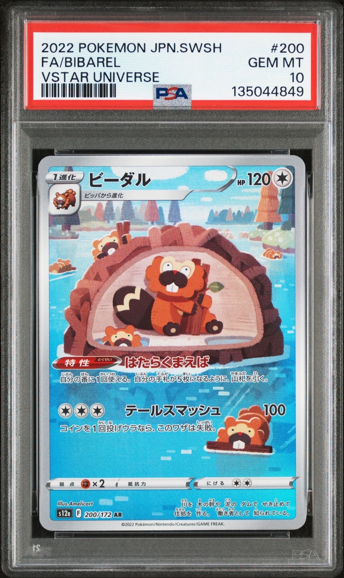 ビーダル AR[s12a 200/172](ハイクラスパック「VSTARユニバース」)