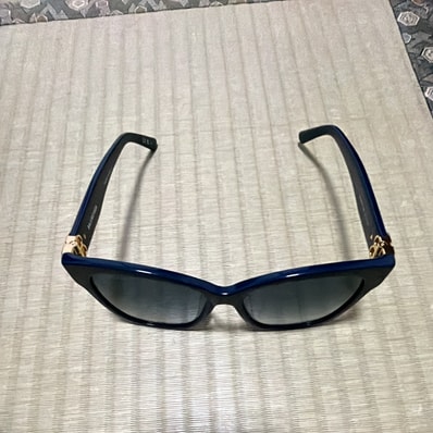BALENCIAGA BB0102SA -005 サングラス