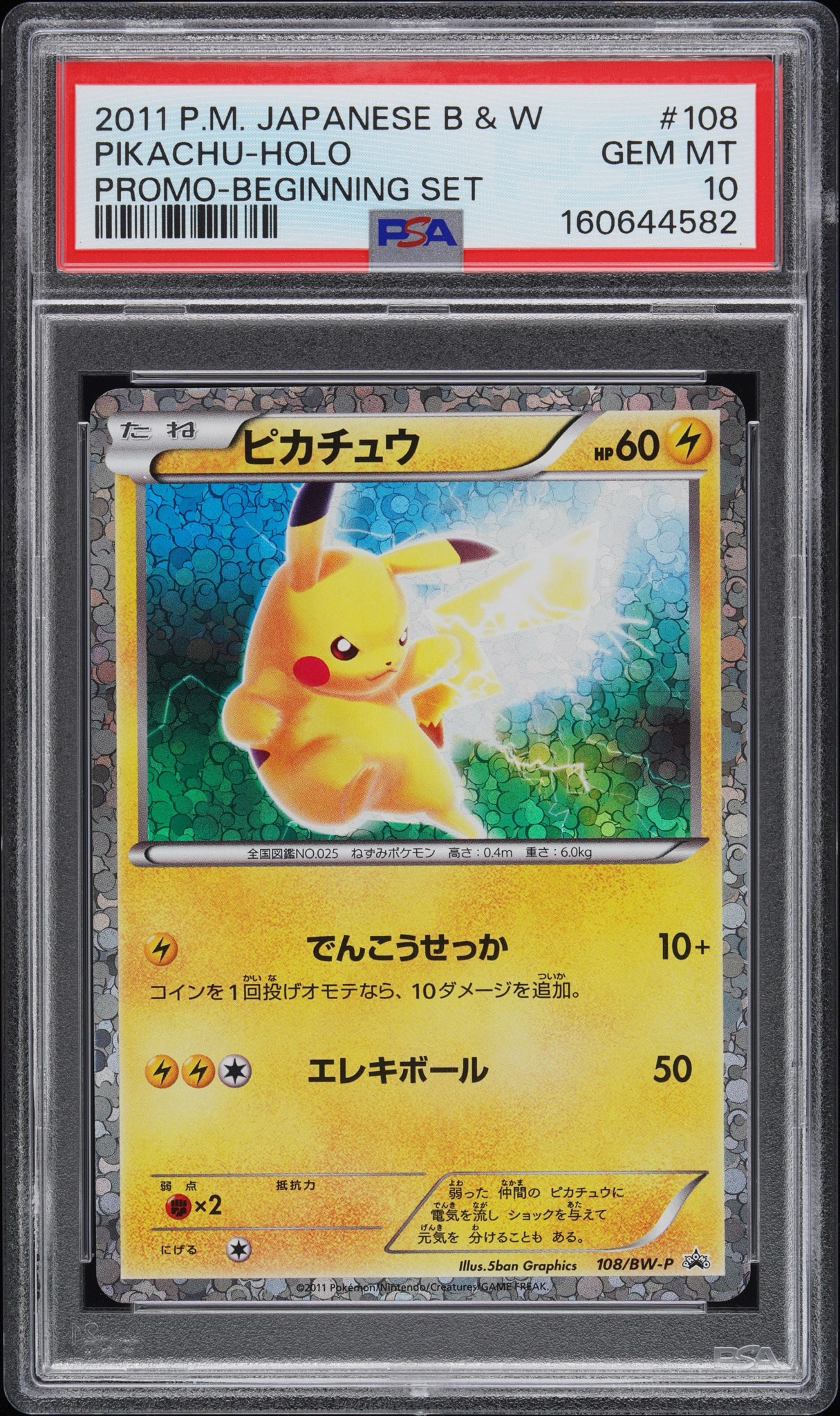 Pikachu P [BW-P 108/BW-P](Promotional Cards "First Set DX Pikachu ver. Enclosed card")