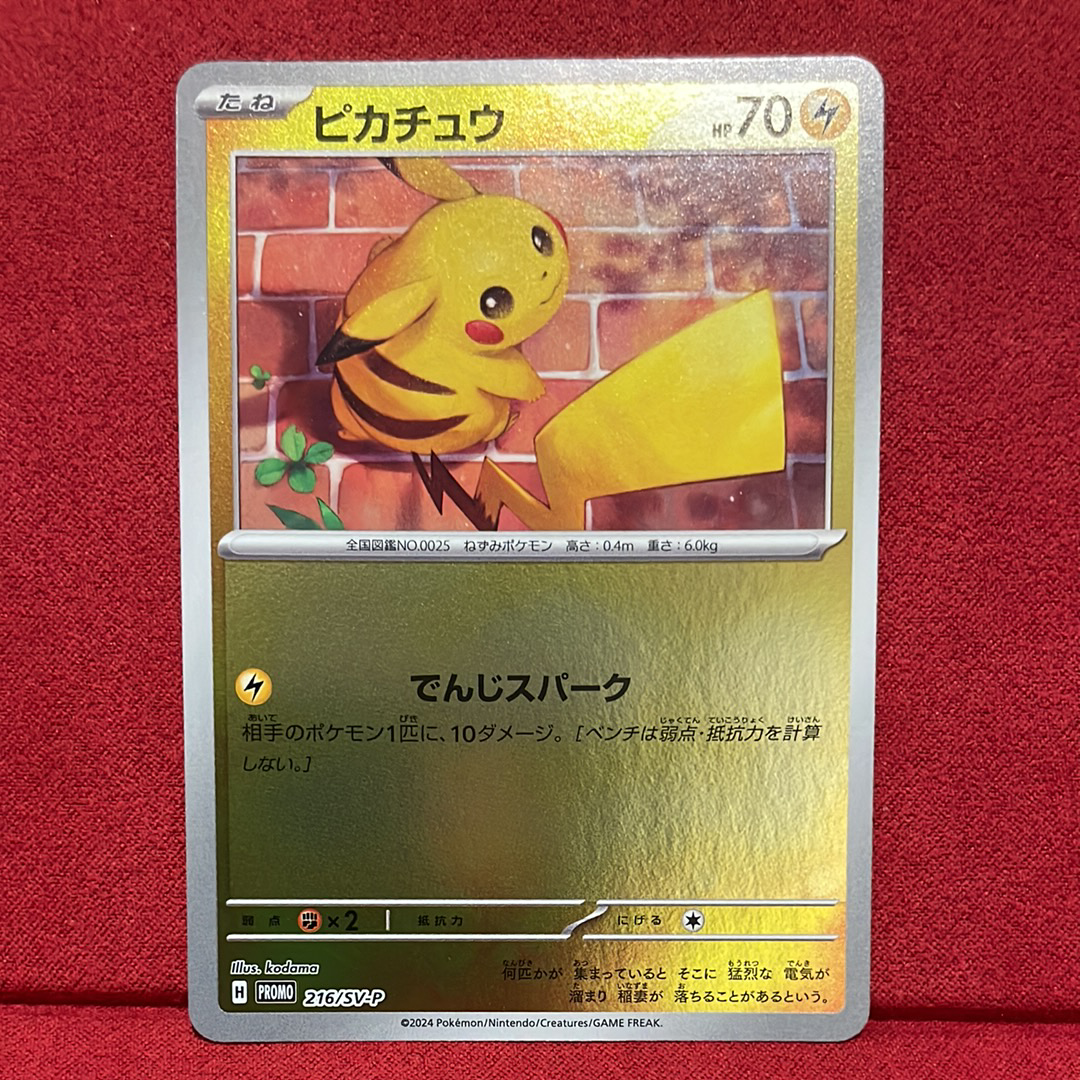 PSA10】ピカチュウ P [SV-P 216](プロモカードパック「ポケカの夏が