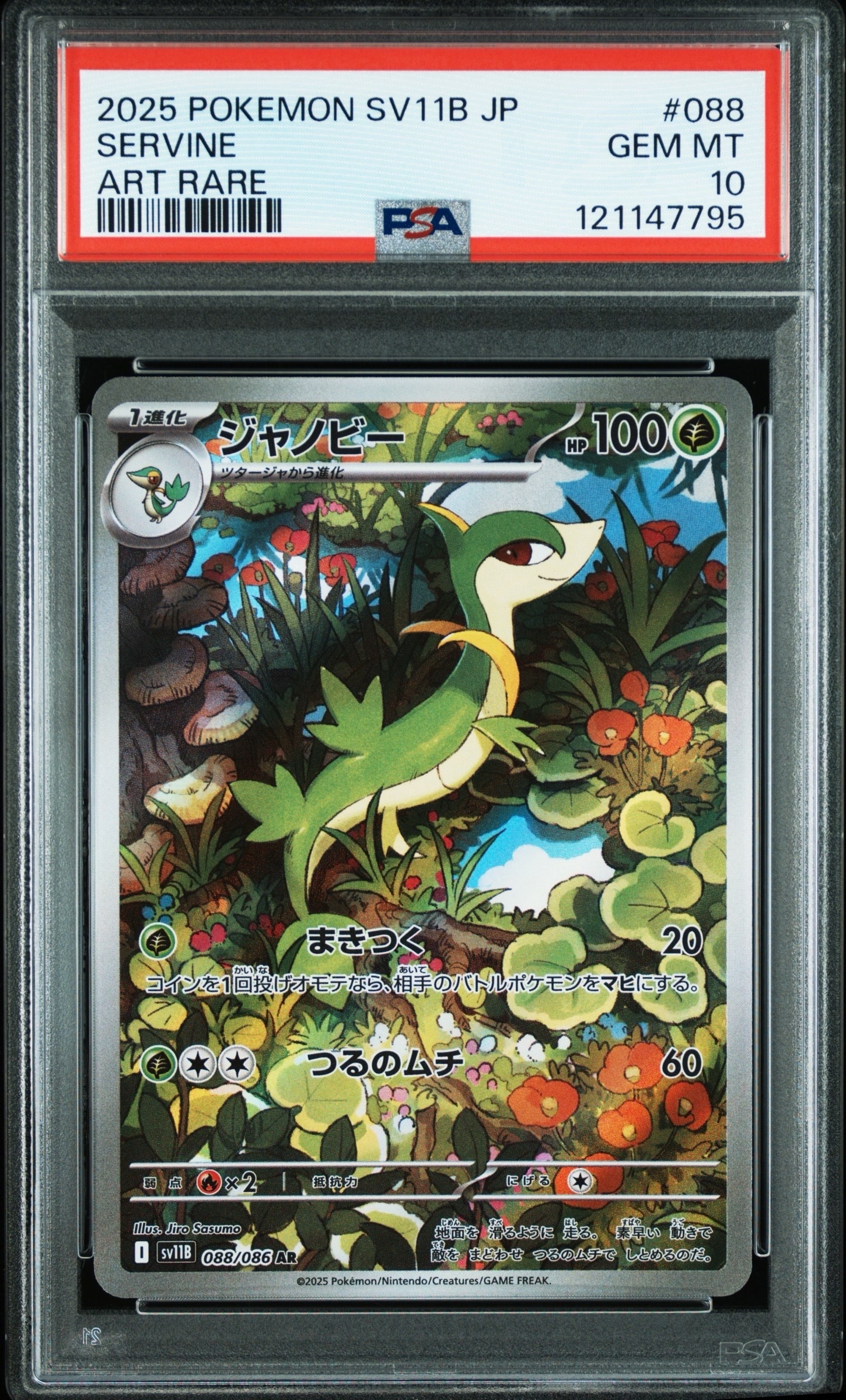 【 PSA10】ジャノビー AR ブラックボルト PSA10】ジャノビー AR [SV11B 088/086](拡張パック「ブラックボルト
