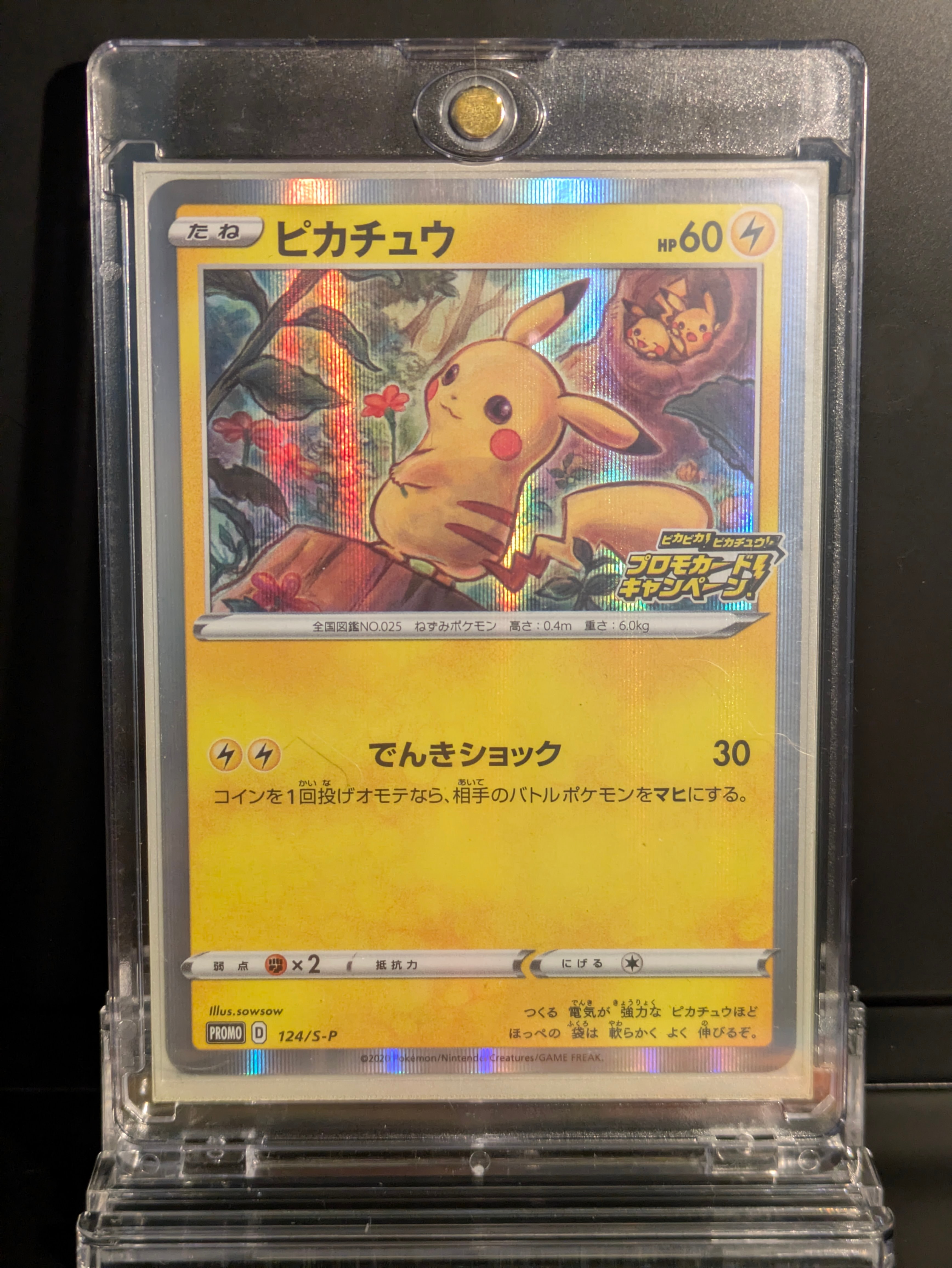 ピカチュウ: プロモ P [S-P 124](ピカピカ!ピカチュウ!プロモカードキャンペーン)