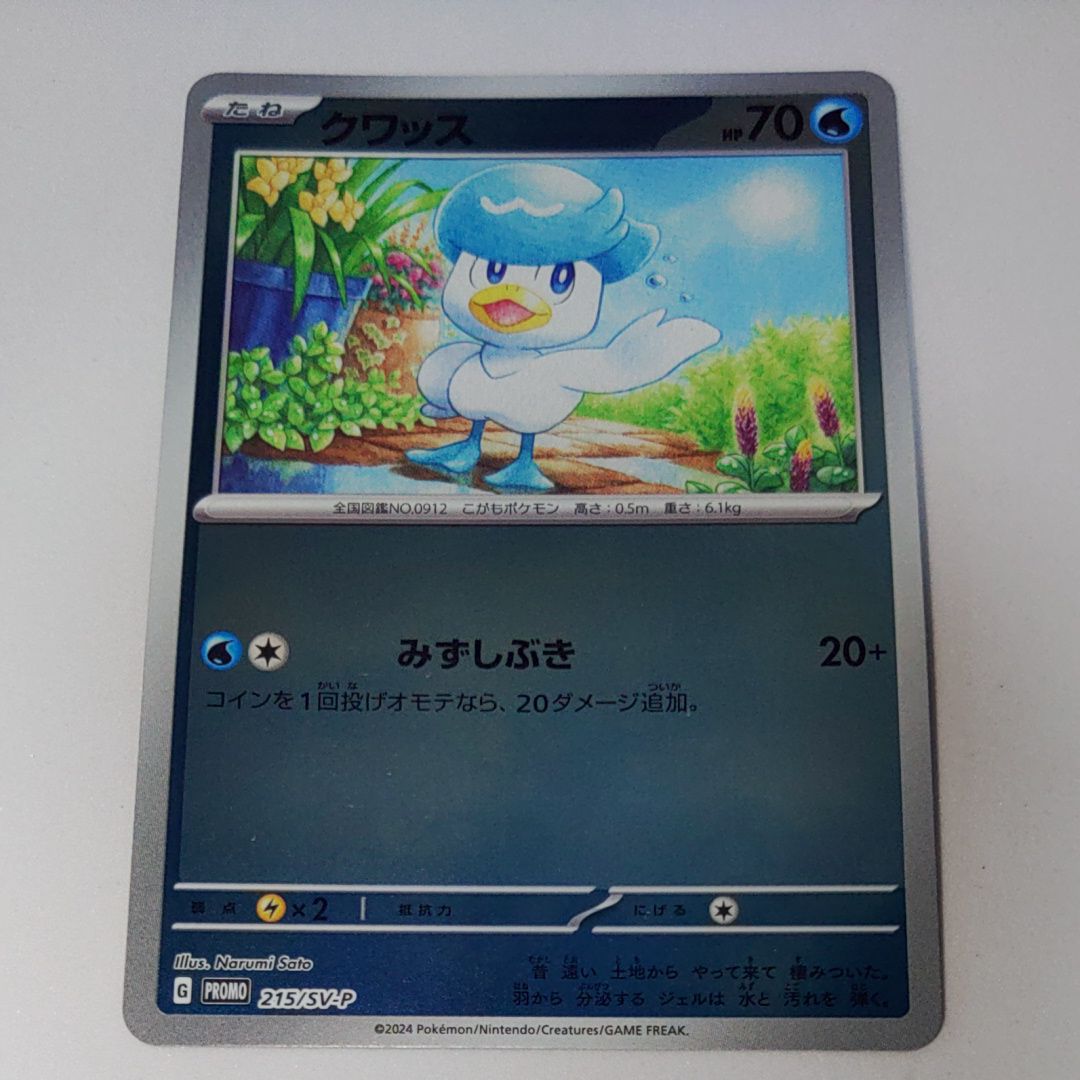 クワッス P [SV-P 215](プロモカードパック「ポケカの夏がキタ!プロモカードGetキャンペーン!」)
