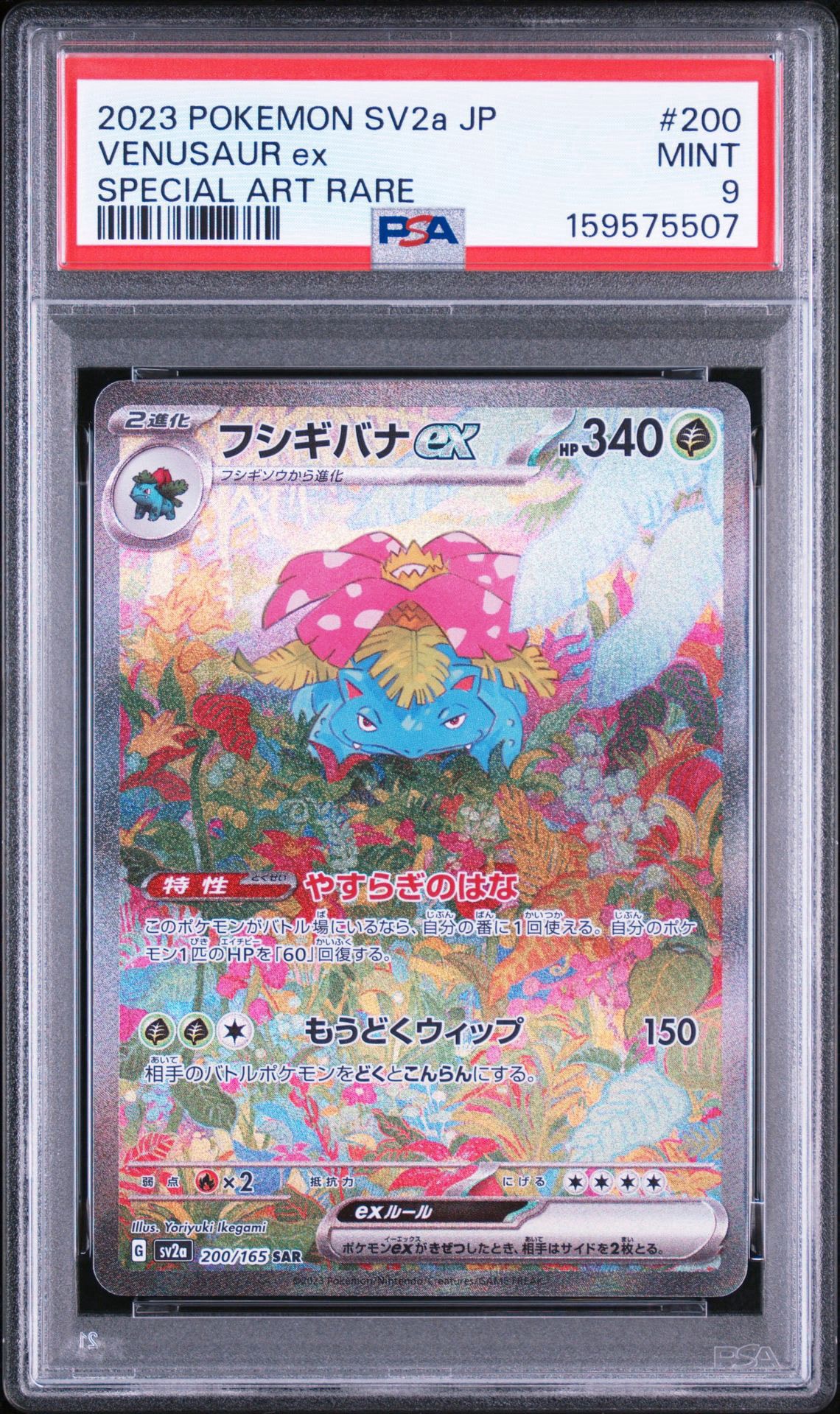 PSA10】ヒカリ SAR [M2 115/080](拡張パック「インフェルノX」) 1枚の